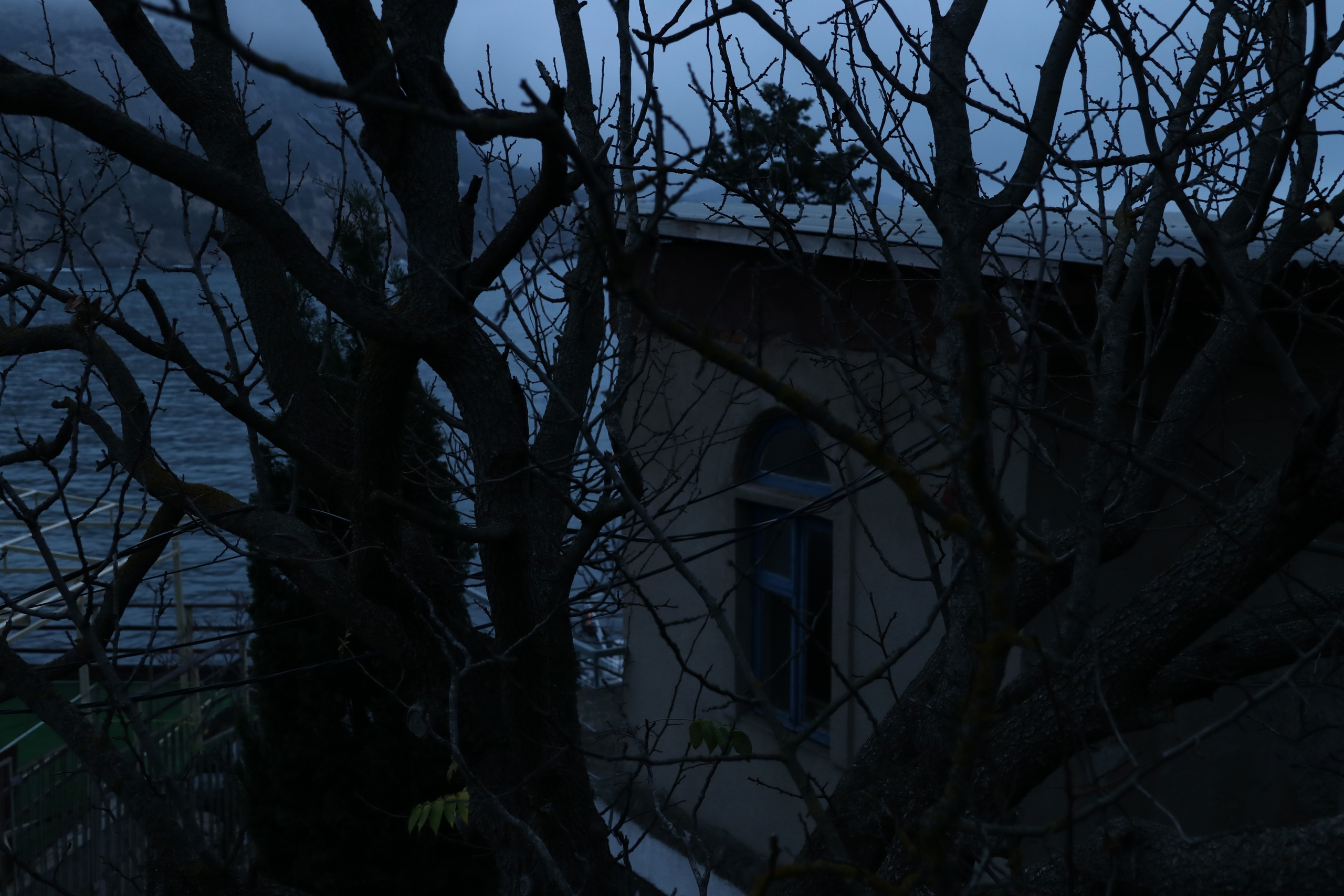 Крым. ЮБК (Гурзуф, Судак и их окрестности). Ноябрь 2023. Путешественник-фотограф из Санкт-Петербурга Татьяна Свистулина