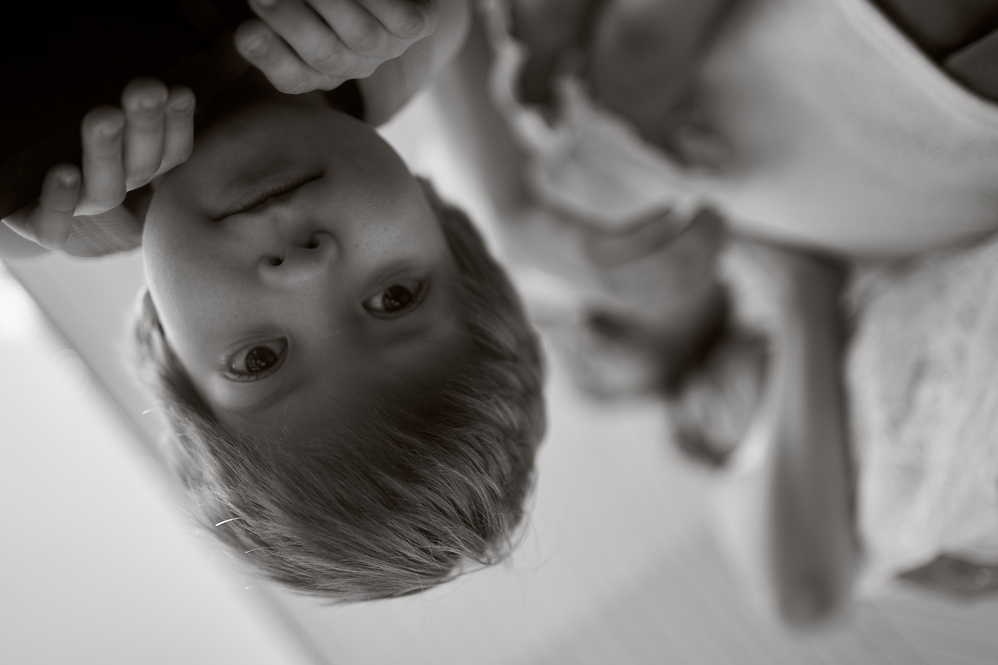 Летние каникулы. Фотограф анималист Москва Дарья