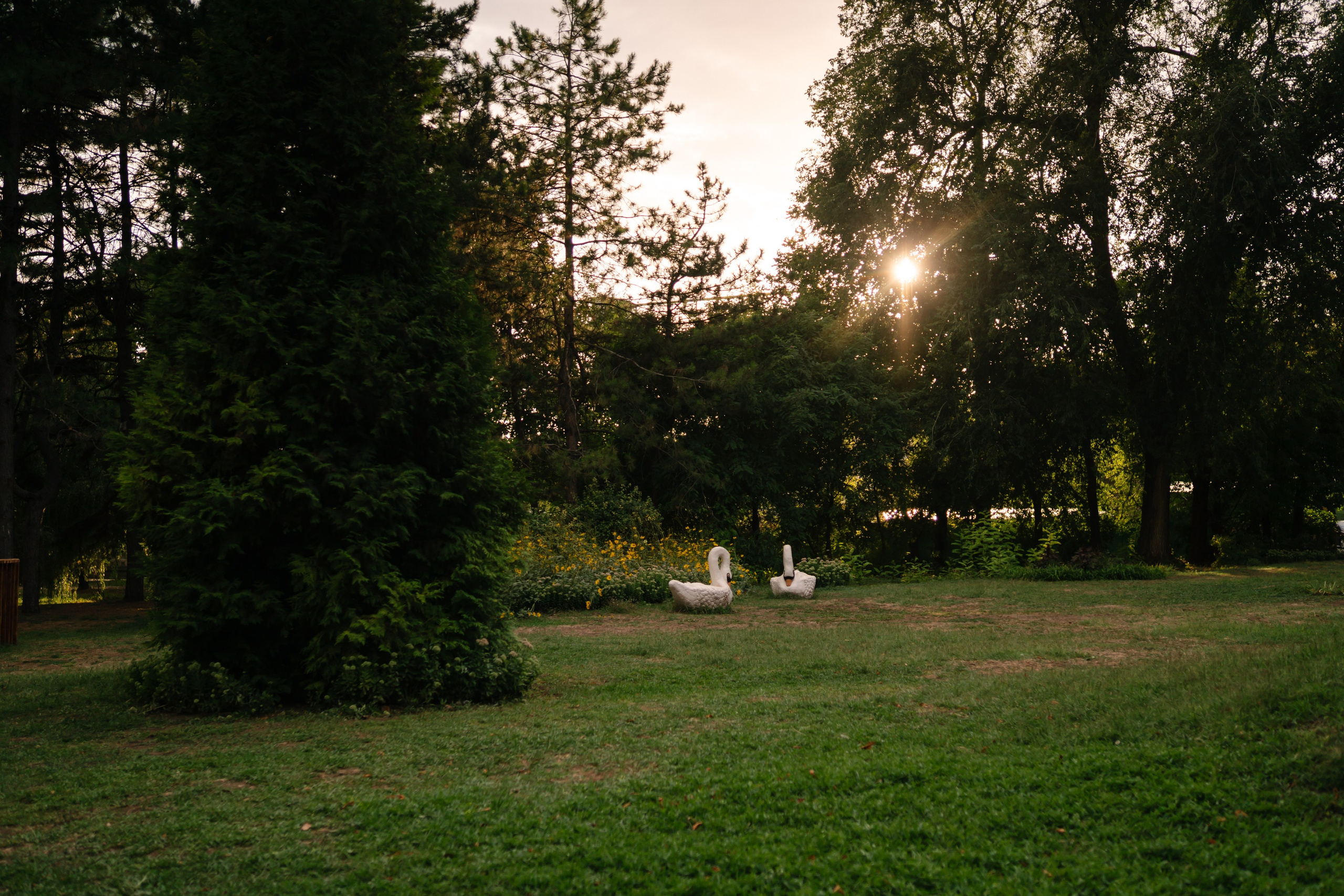 Локации для школьных съемок. Семейный фотограф и видеограф Ростов-на-Дону