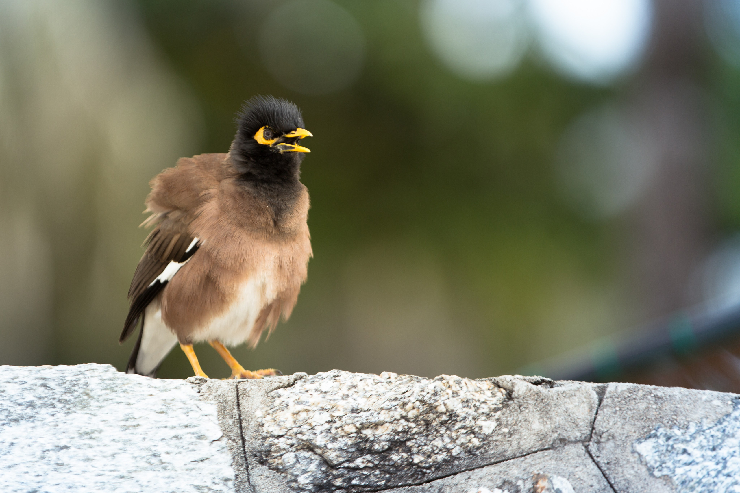 Фото Тайланда. Студия Максима Белослюдцева