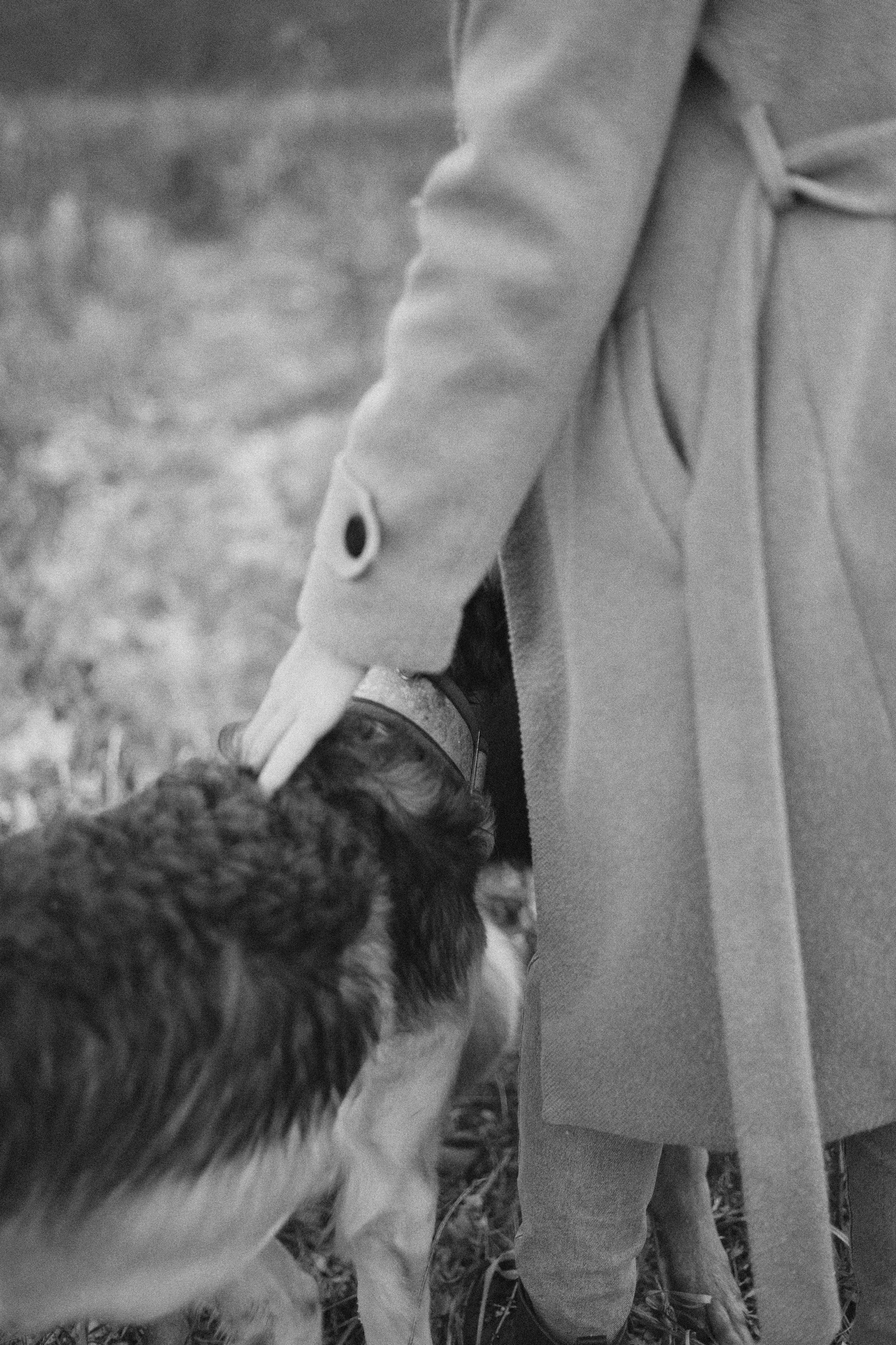 Алена, Леви и Микаса. Фотограф-анималист Богданова Полина