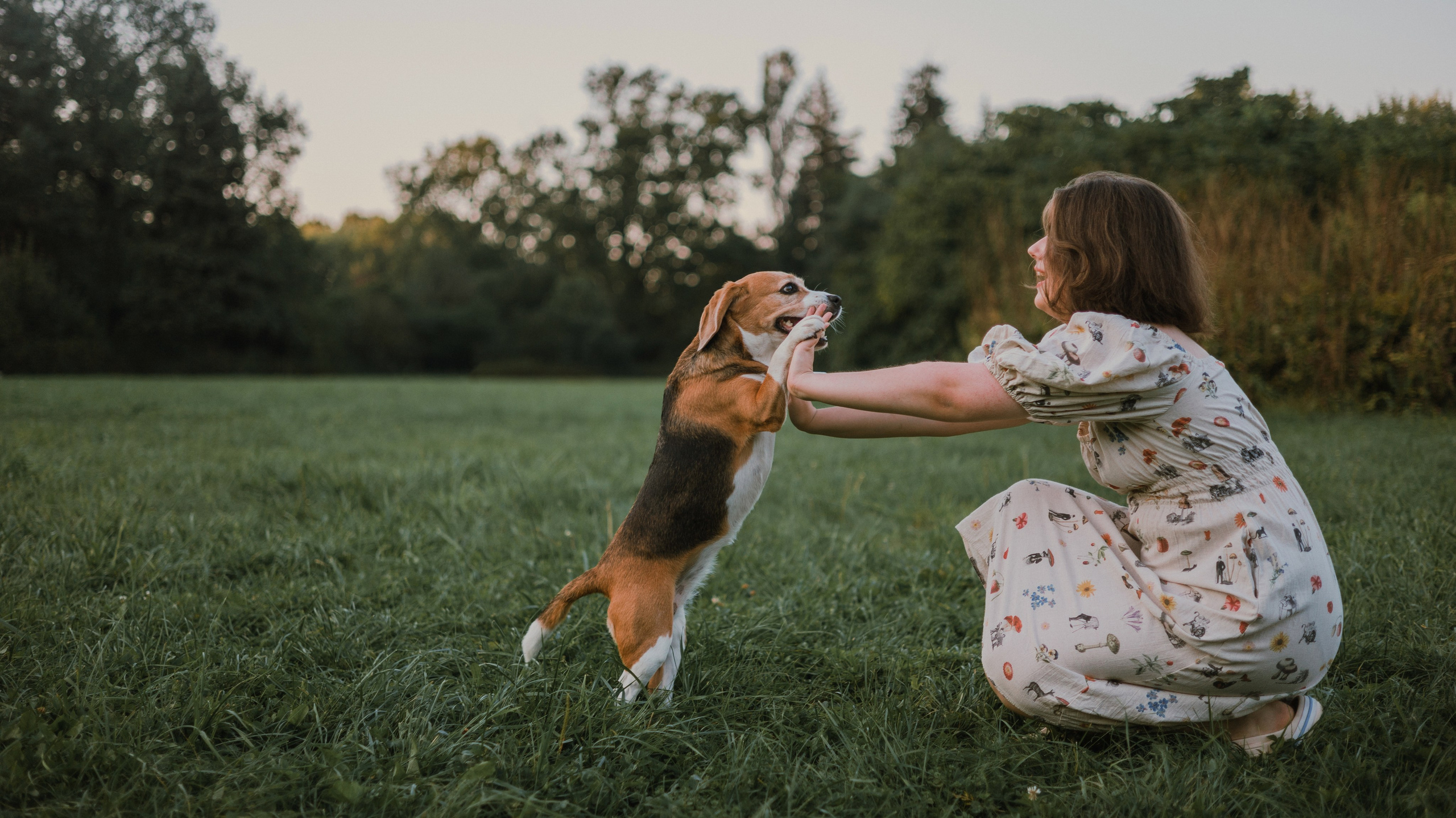 Лиза и Сара. Фотограф-анималист Богданова Полина