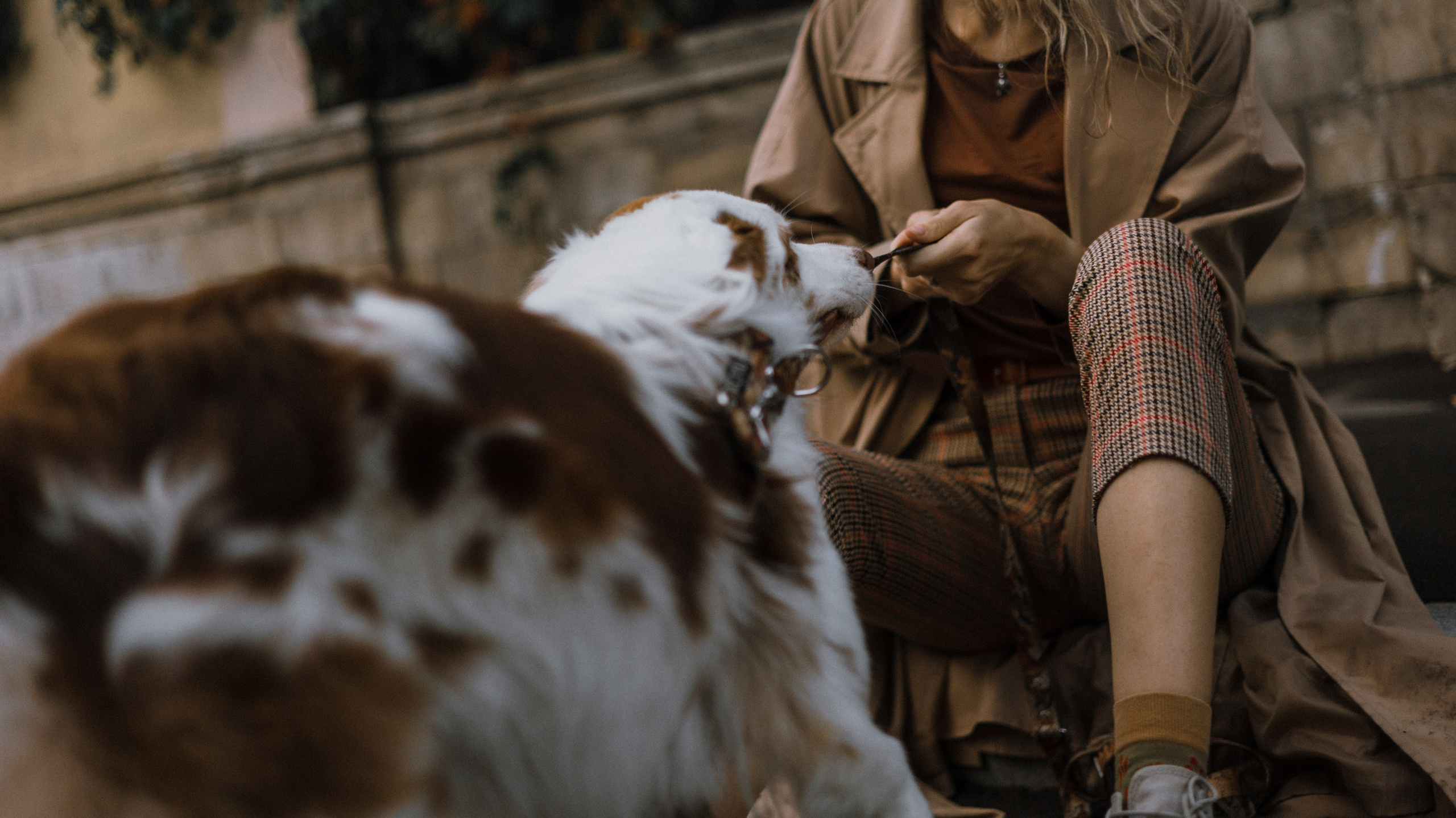 Светлана и Оливия. Фотограф-анималист Богданова Полина