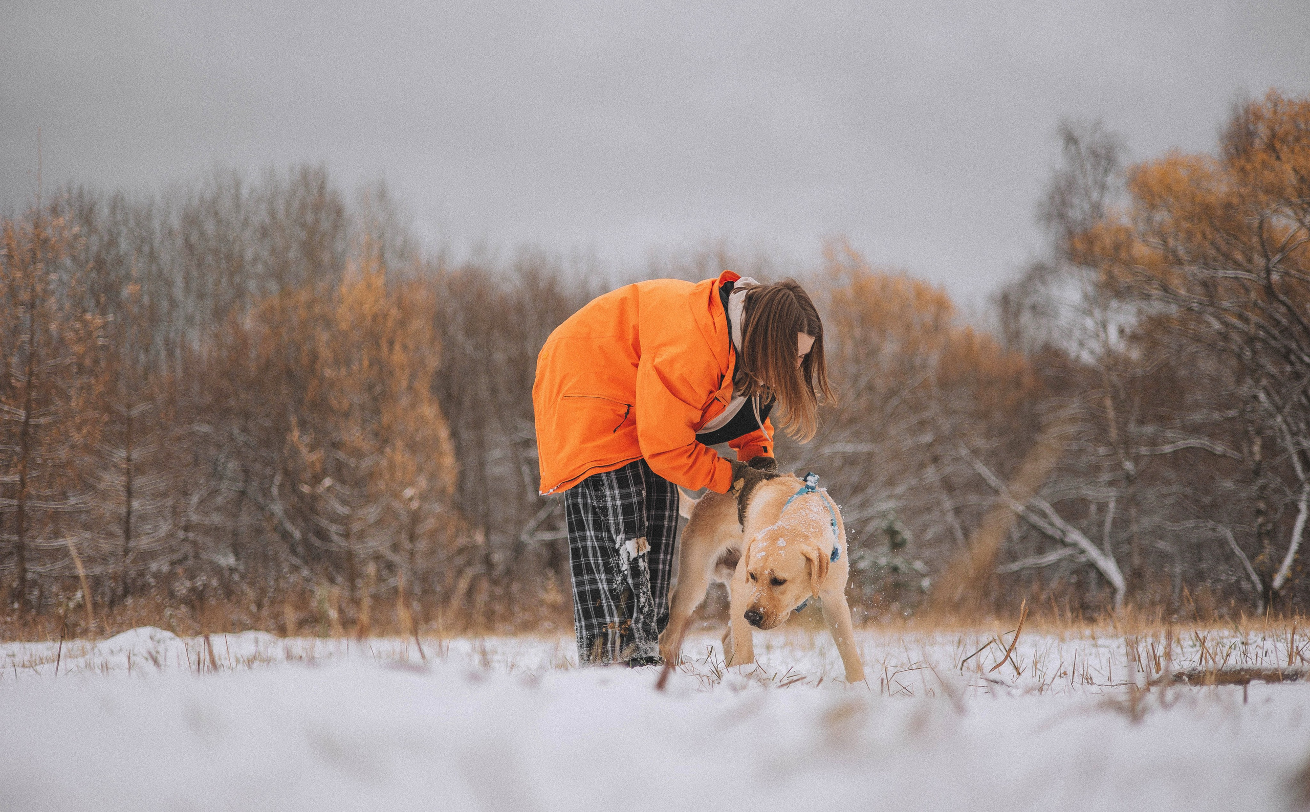 Маргарита и Варди. Фотограф-анималист Богданова Полина