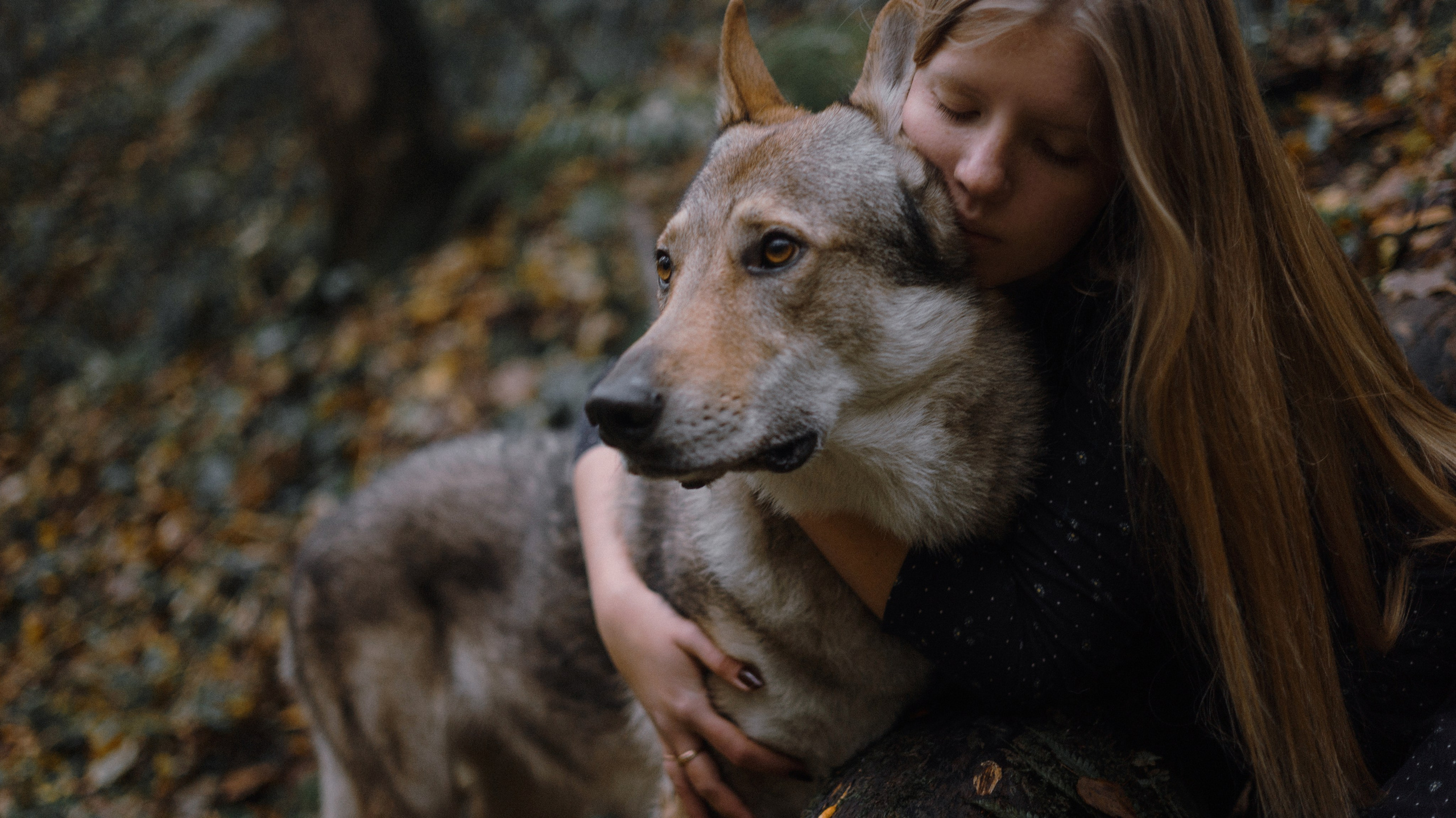 Полина и Вегард. Фотограф-анималист Богданова Полина