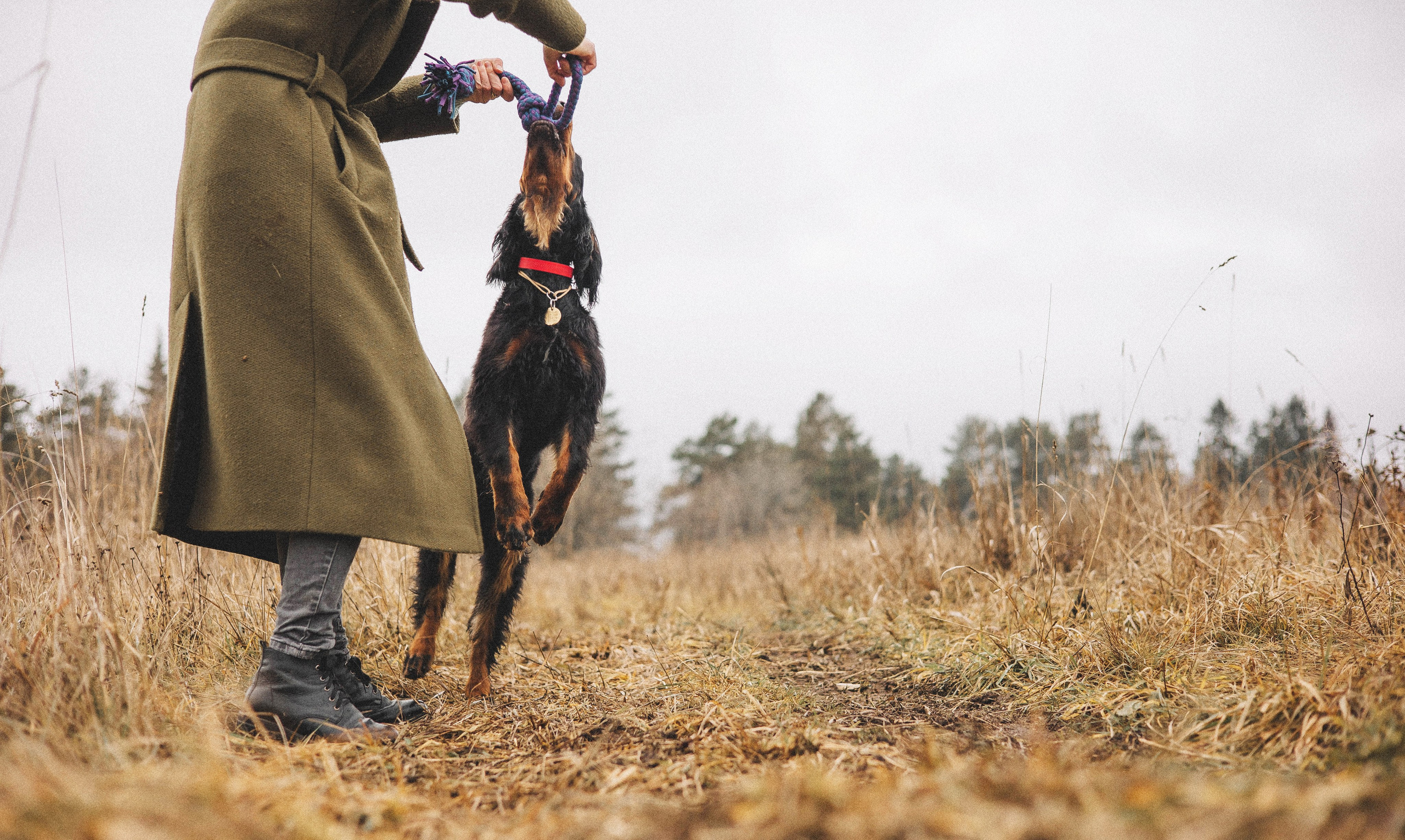 Даша, Глеб, Барс и Бруно. Фотограф-анималист Богданова Полина