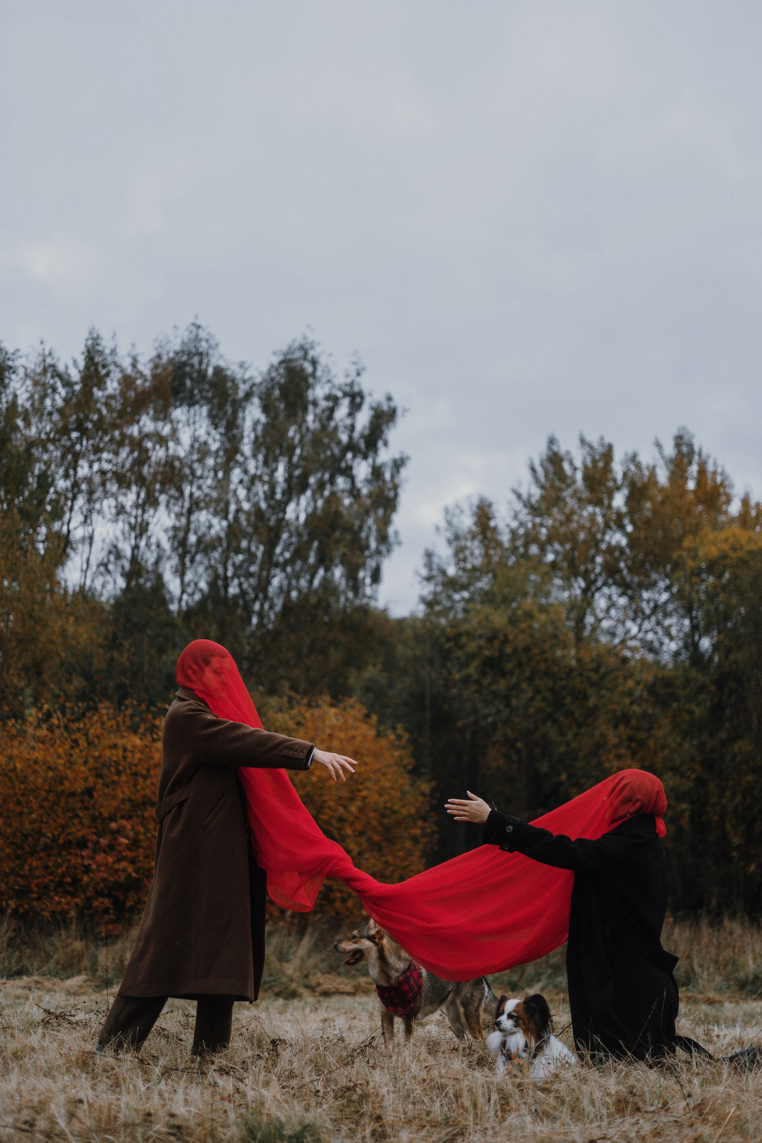 Маша, Катя, Астрид и Мася. Фотограф-анималист Богданова Полина