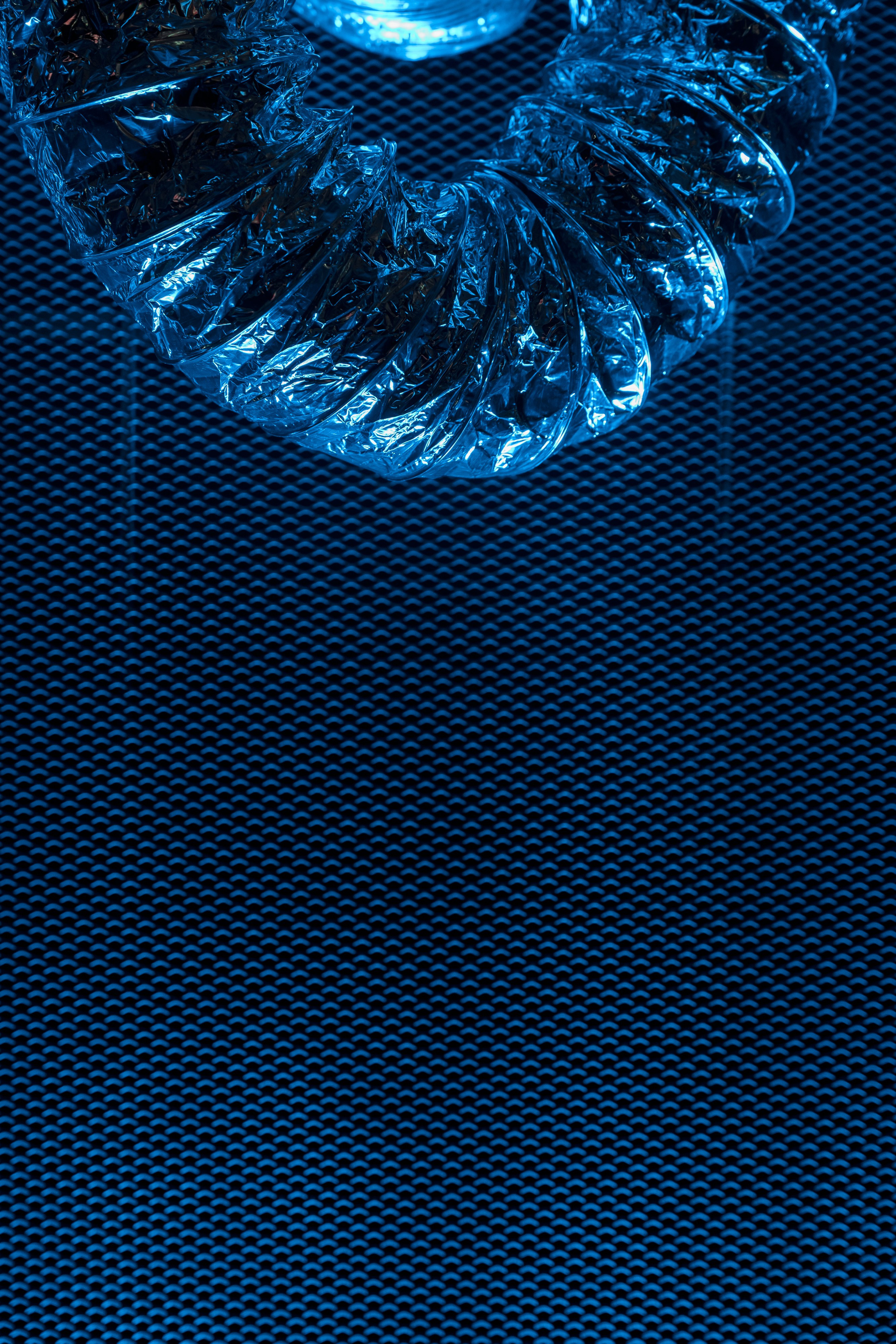 DIGITAL ELKA 2024 WINTER. Фотограф в Москве и России