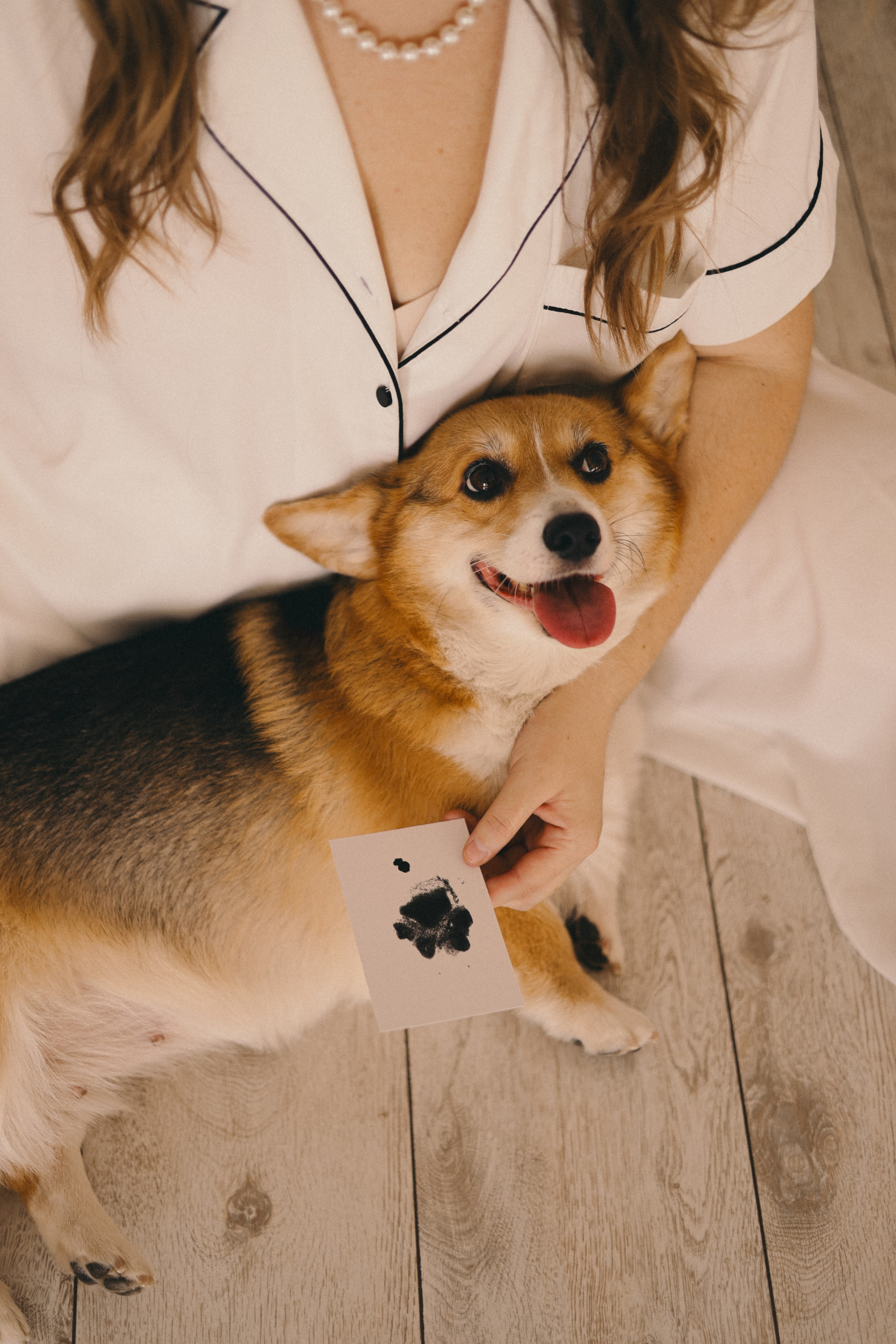 Виктория и Корги. Фотограф Мария Лаенко