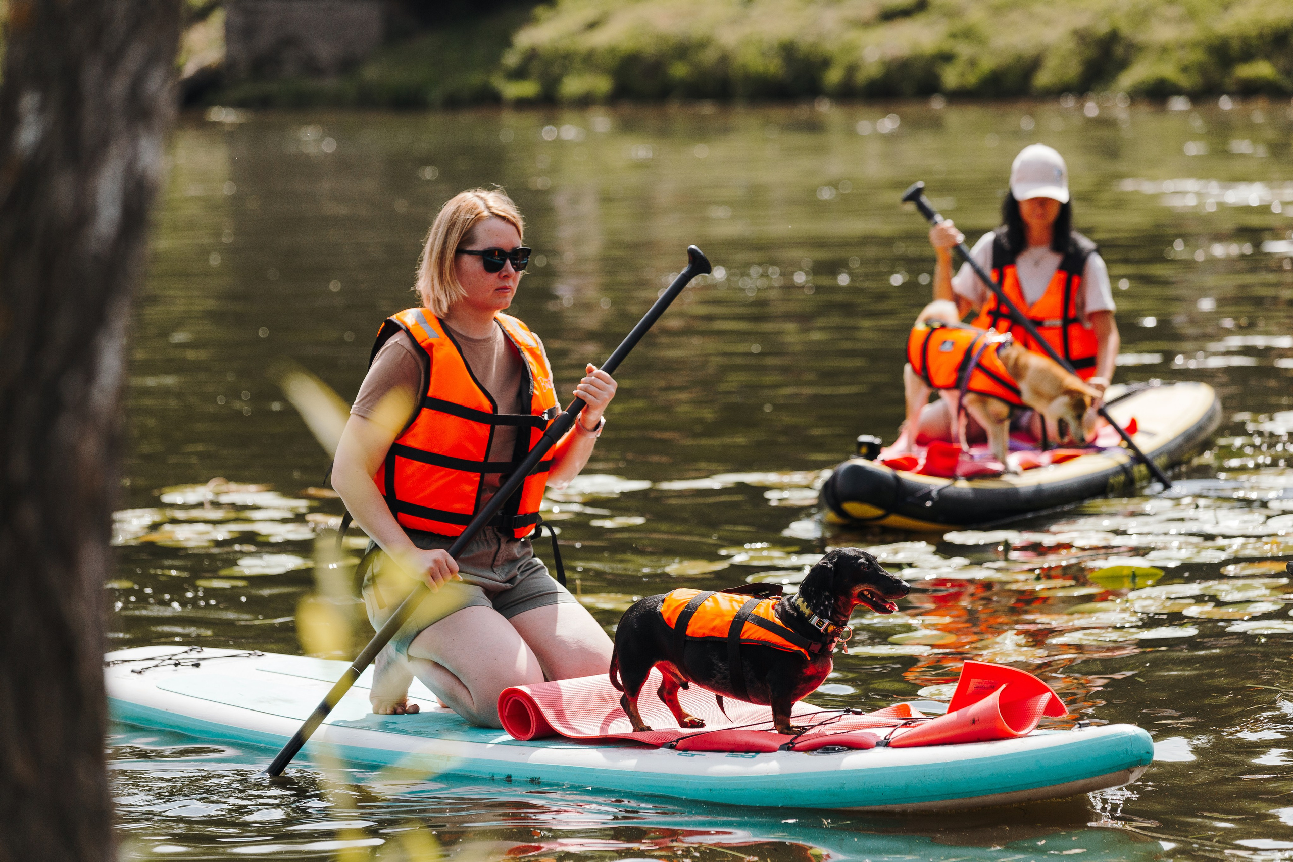 Petshop Sup day. Фотограф анималист Кристина Карпова, Москва