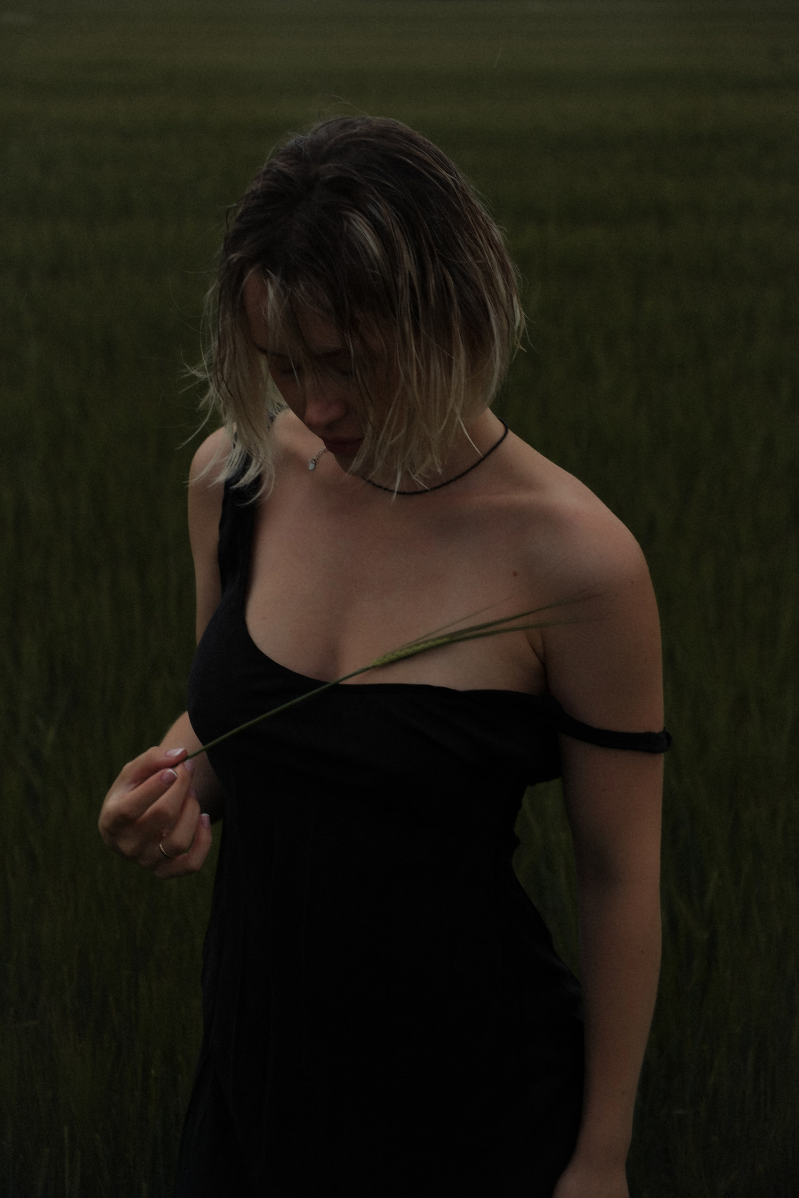 Шанси. ФОТОГРАФ ssbelova