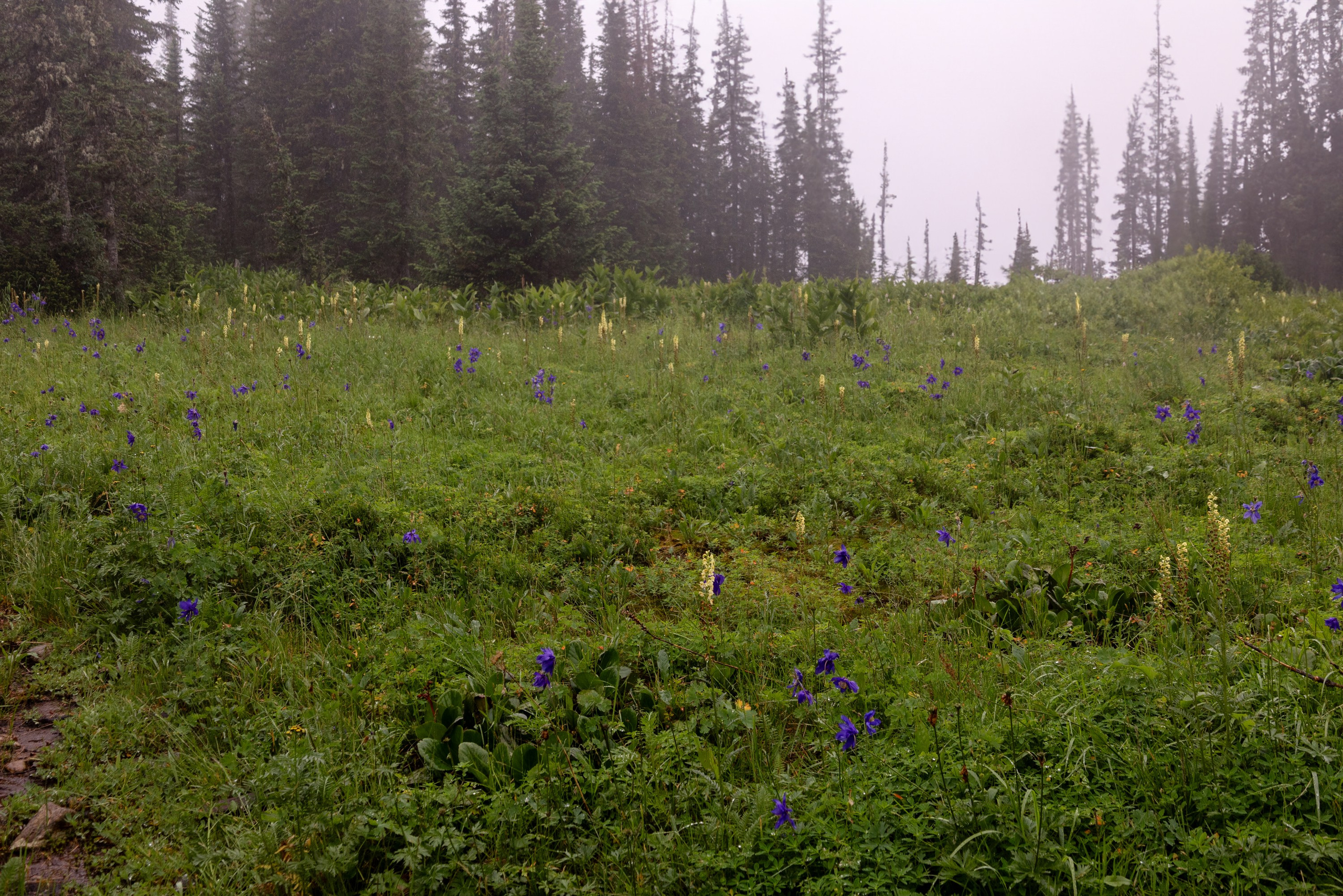 Ергаки. Семейный и детский фотограф в Красноярске, Дивногорцева Светлана