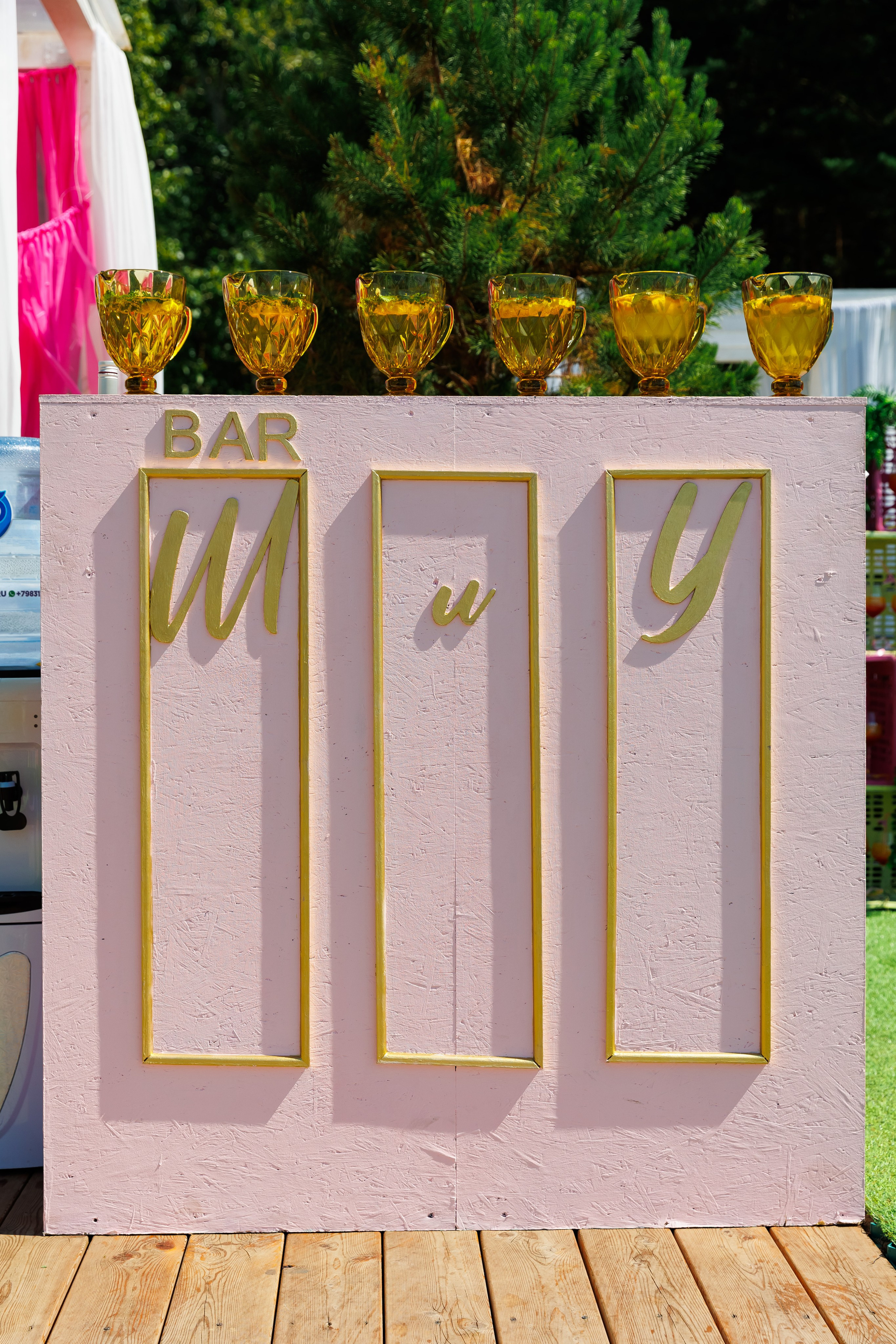 Летняя вечеринка декораторов ШИУ. Фотограф Новосибирск — Наталья Гресь