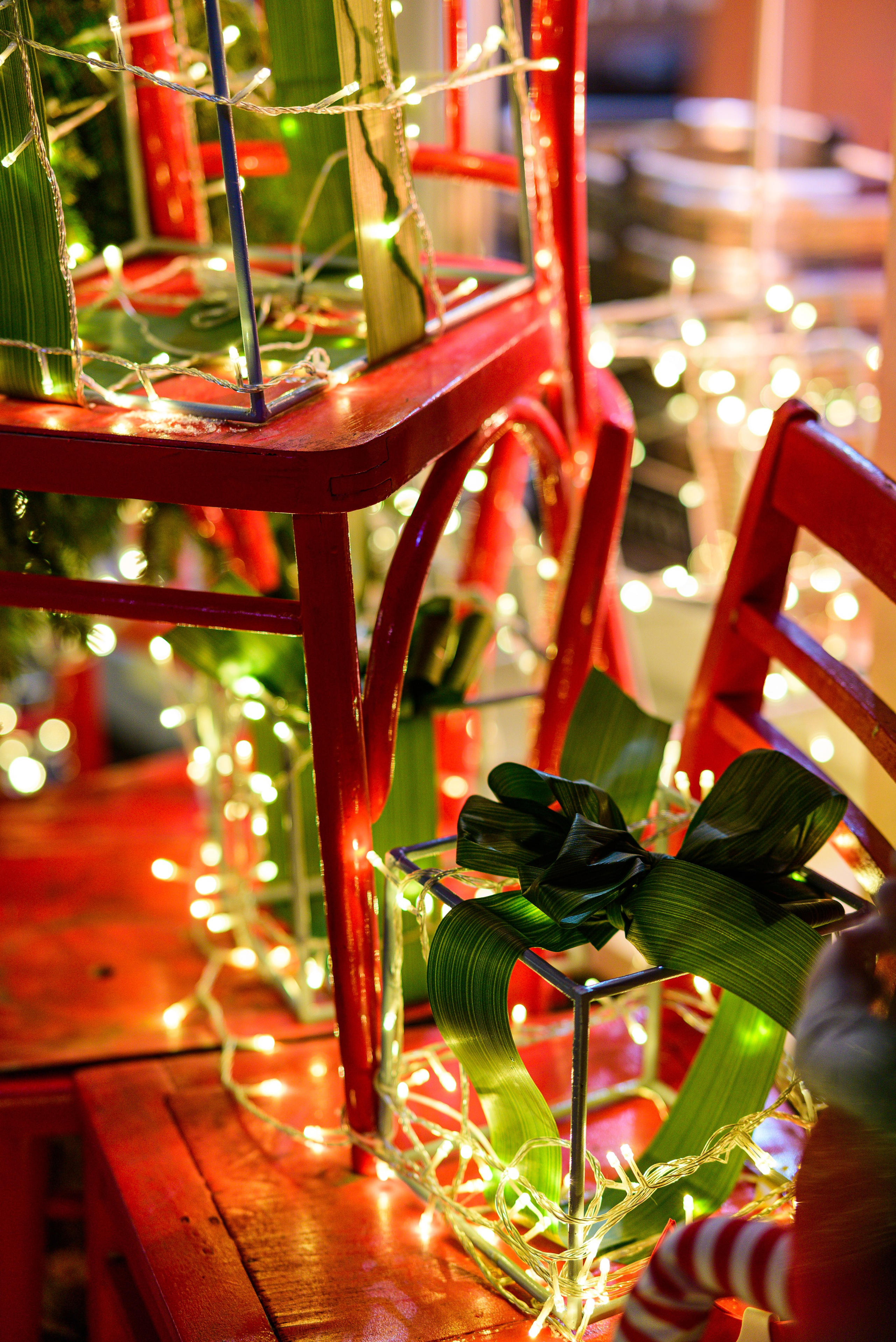 Зимняя Калининградская область. Фотосъемка и видеосъемка в Калининграде Liveemotion.pro