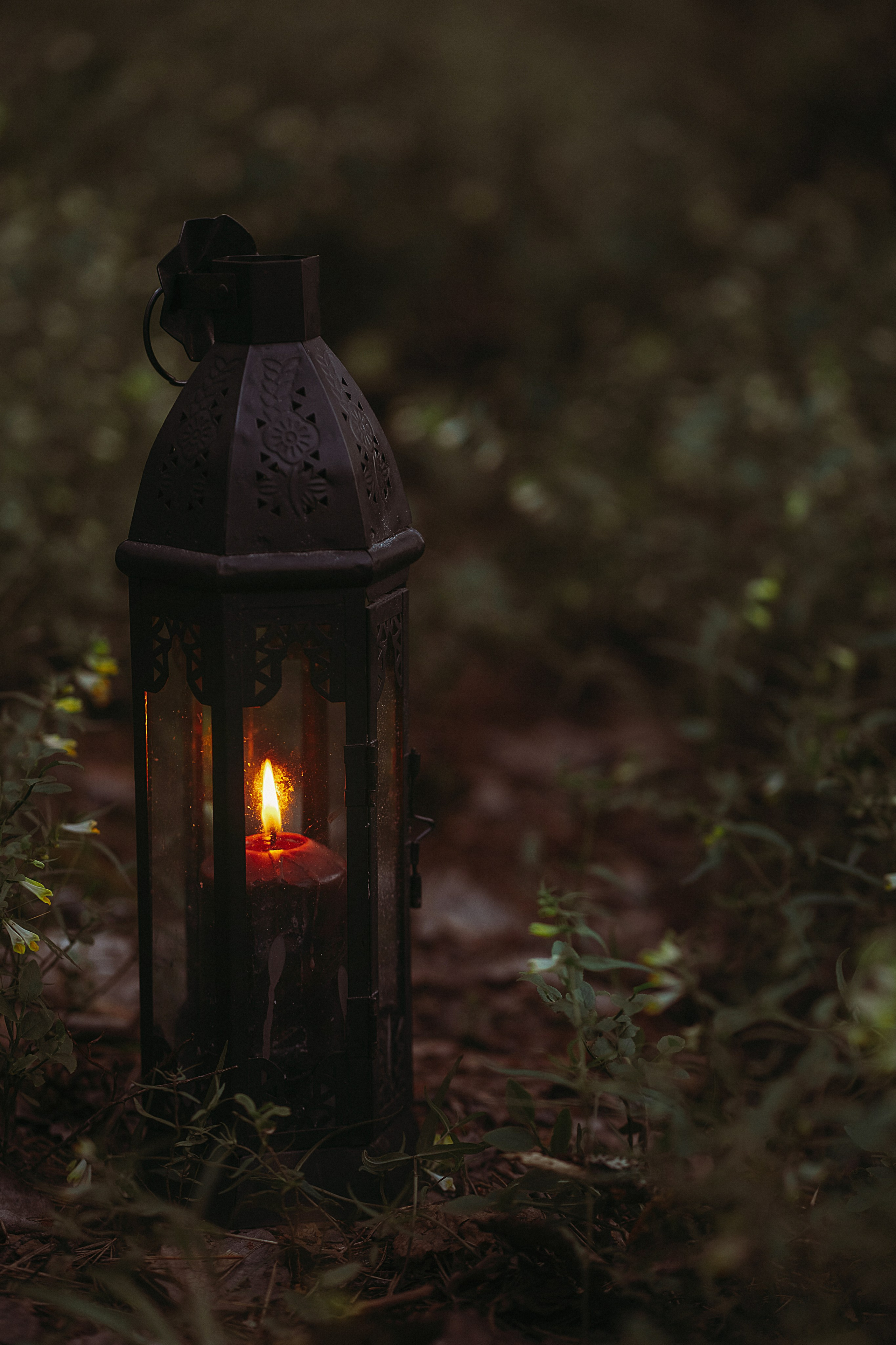 Художественные. Главная