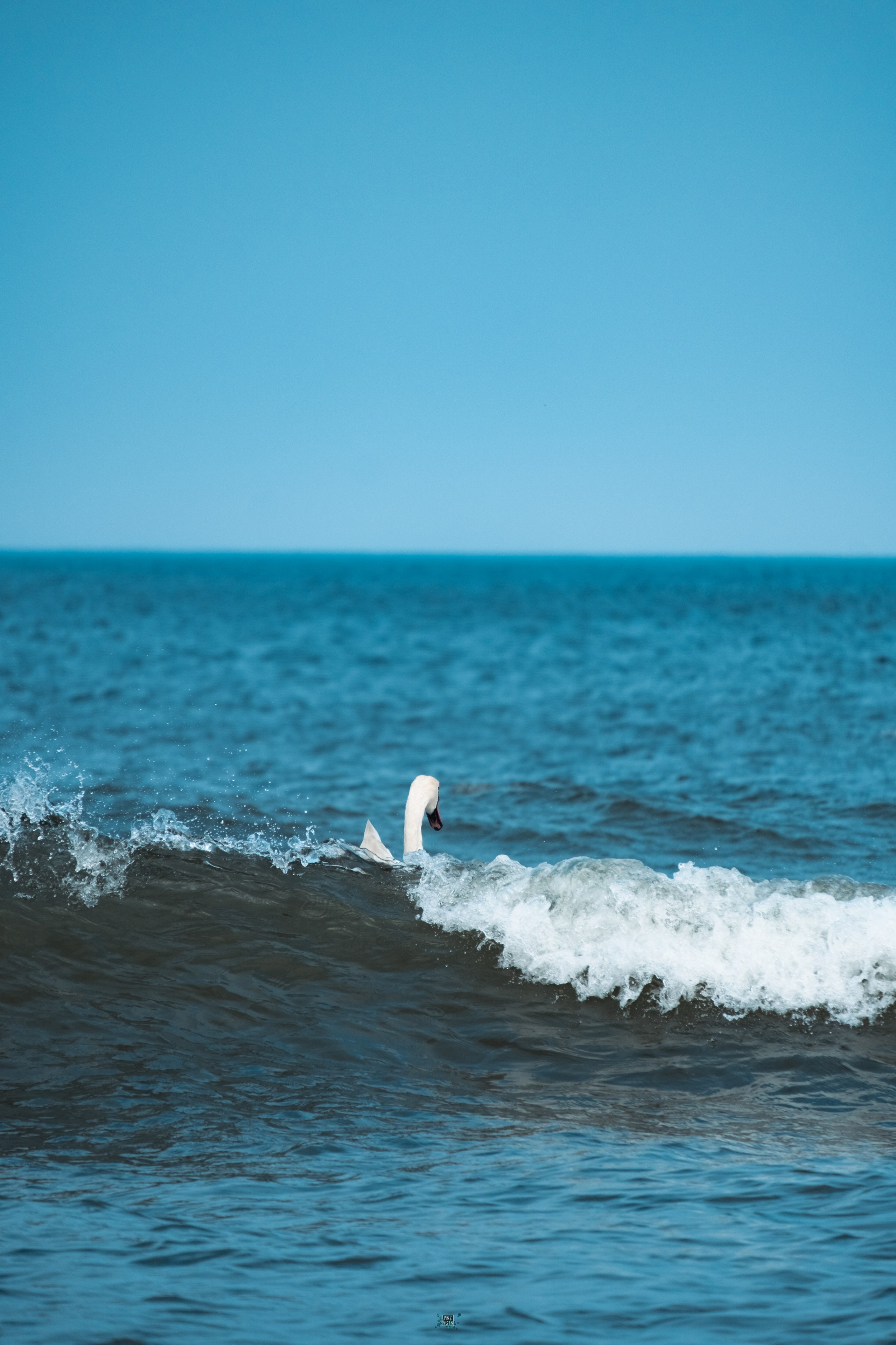 Koenigsberg. M. Neizvestniy — уличная и спортивная фотография