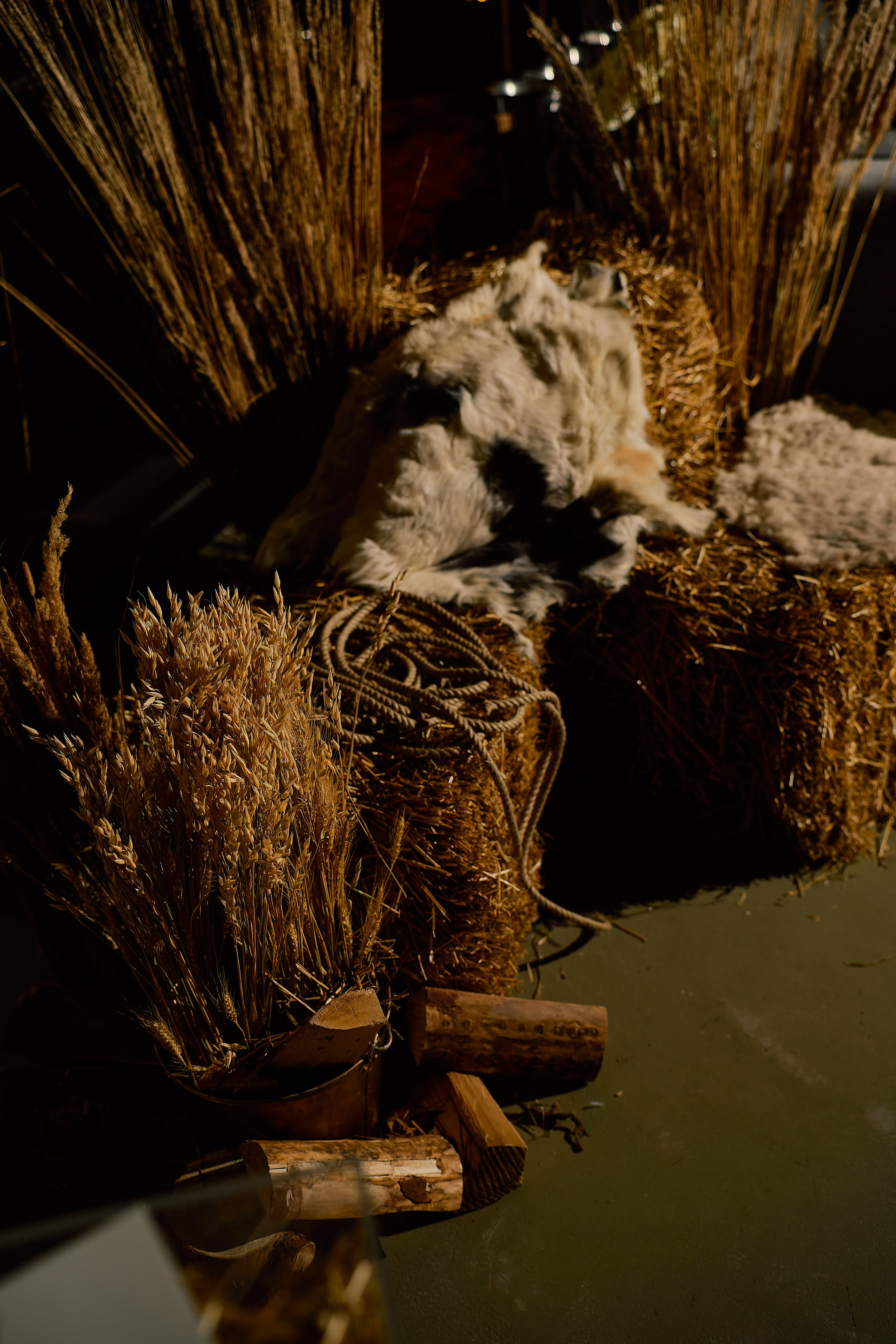 SARAY | 24.11.2025 | г. Москва, ресторан «Сарай». МашаШарики | Декоратор | Москва