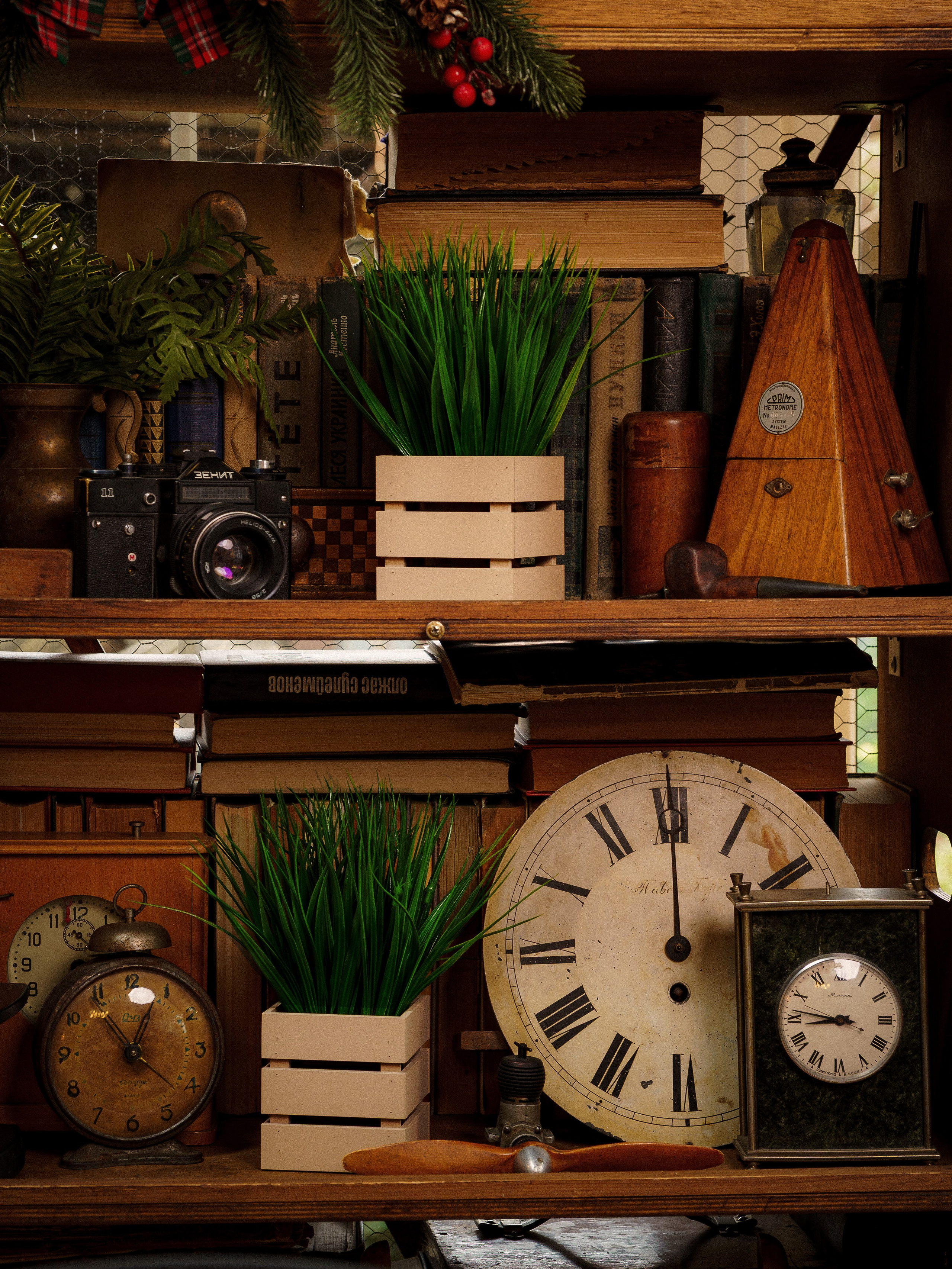 Кашпо. Макаров Сергей|Creamlebot Фотограф города Ростов-на-Дону