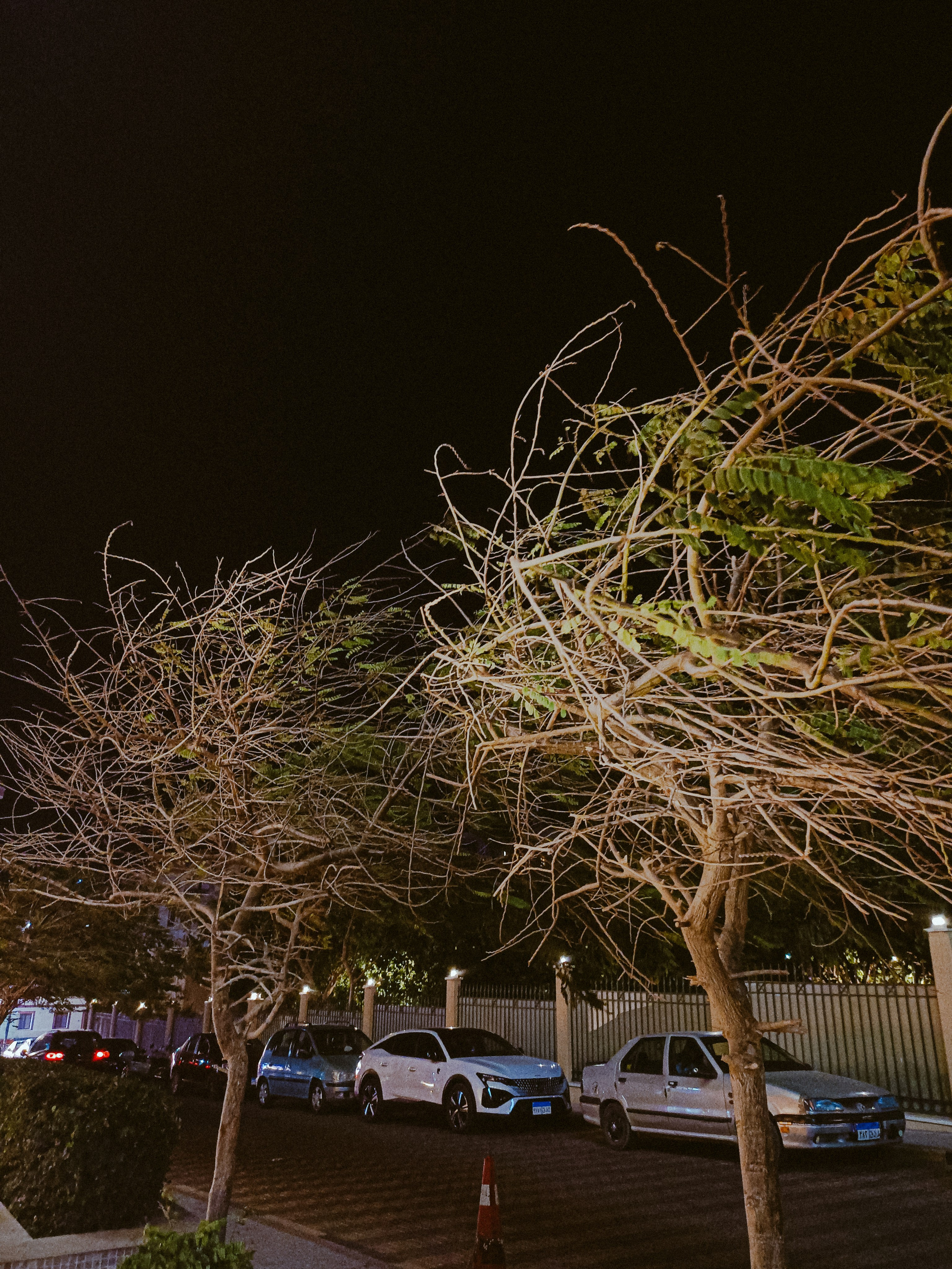 Мобильная. Jorgis — фотограф в Хургаде / обучение фотографии