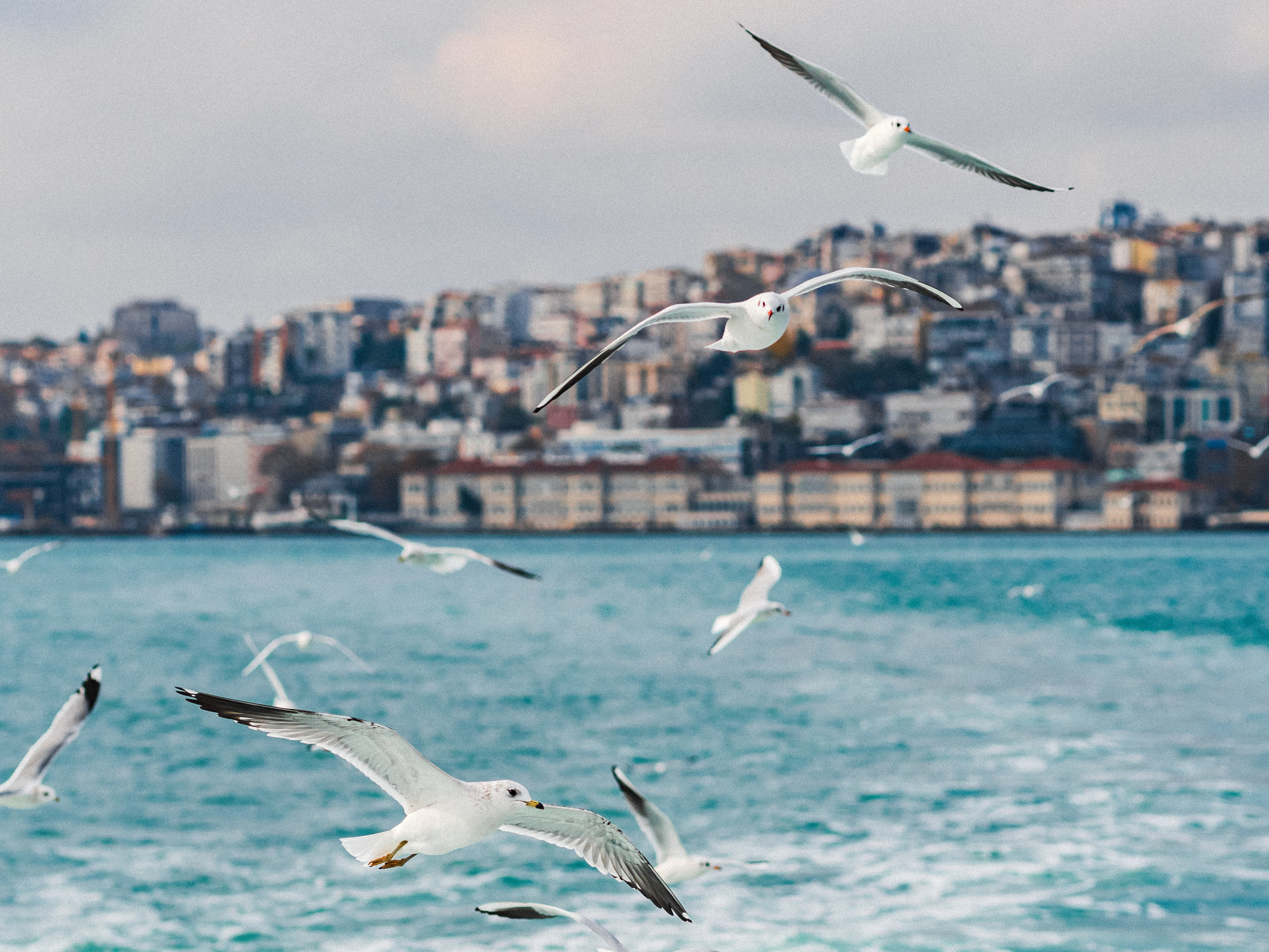 Turkey. Photographer Natalia Baranova