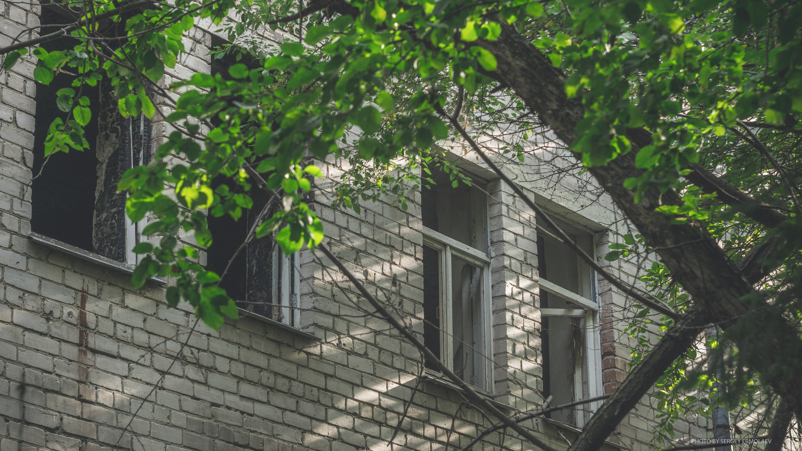 На тропах старинного парка