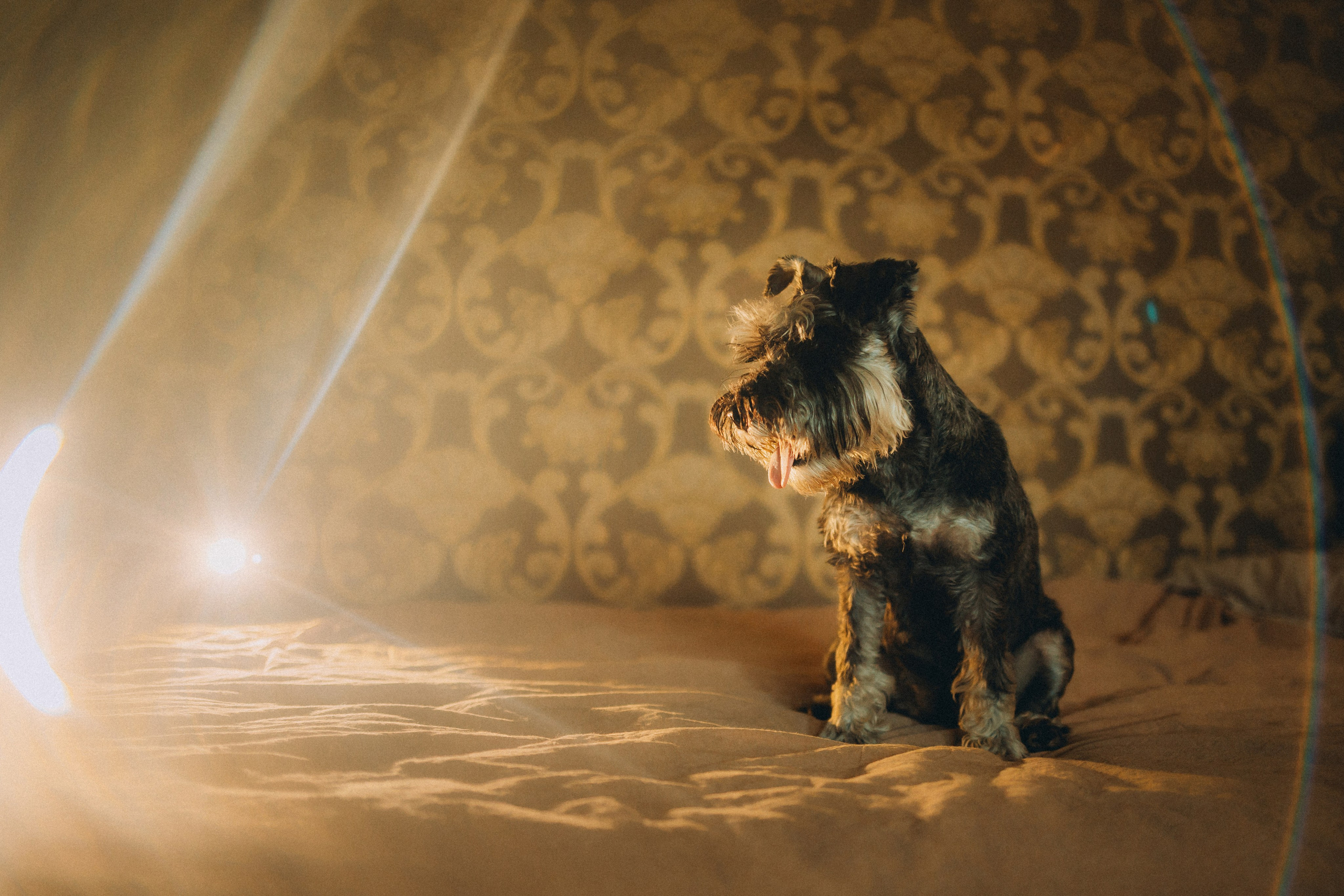 Лена и Зефир