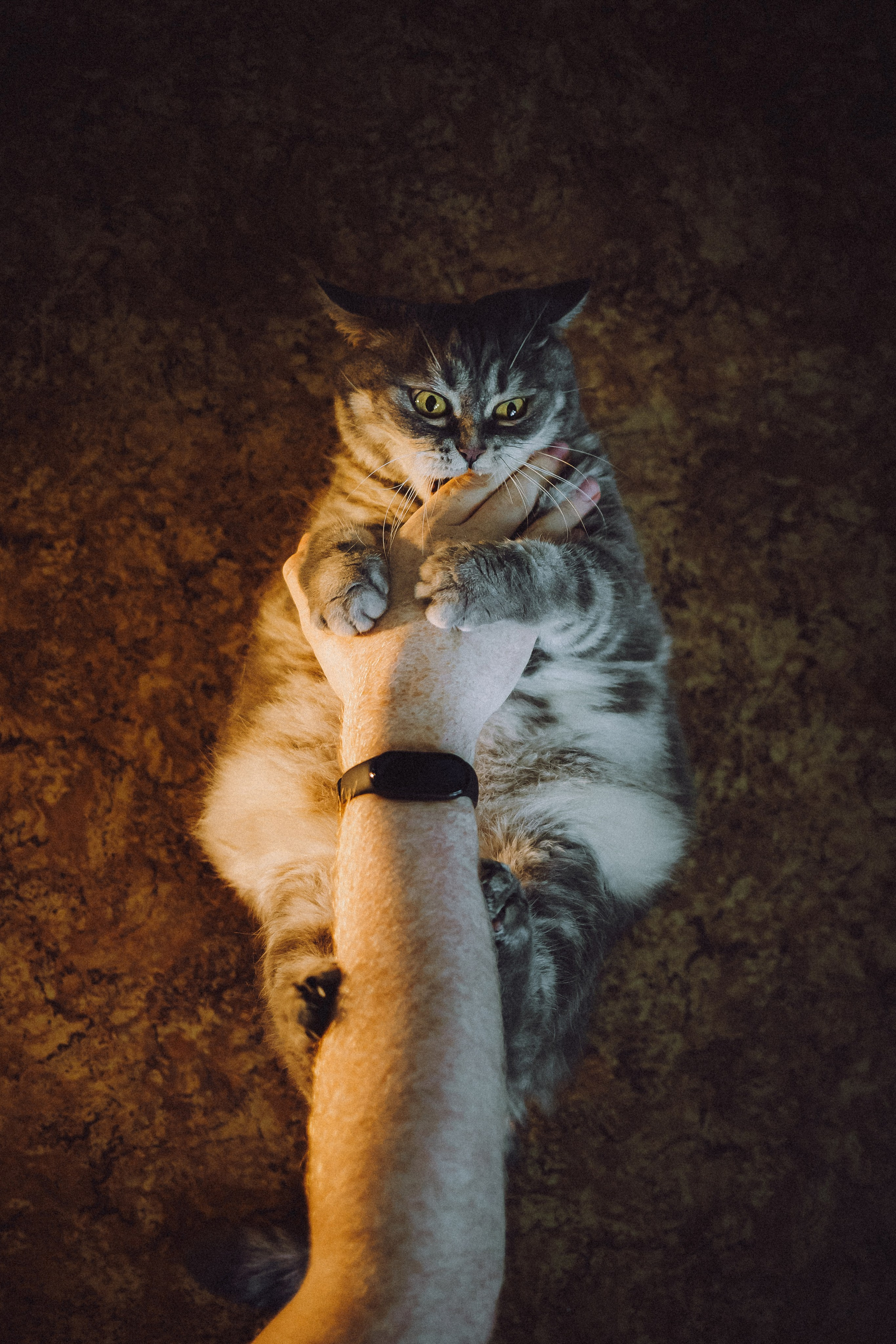 Яся и ее семья