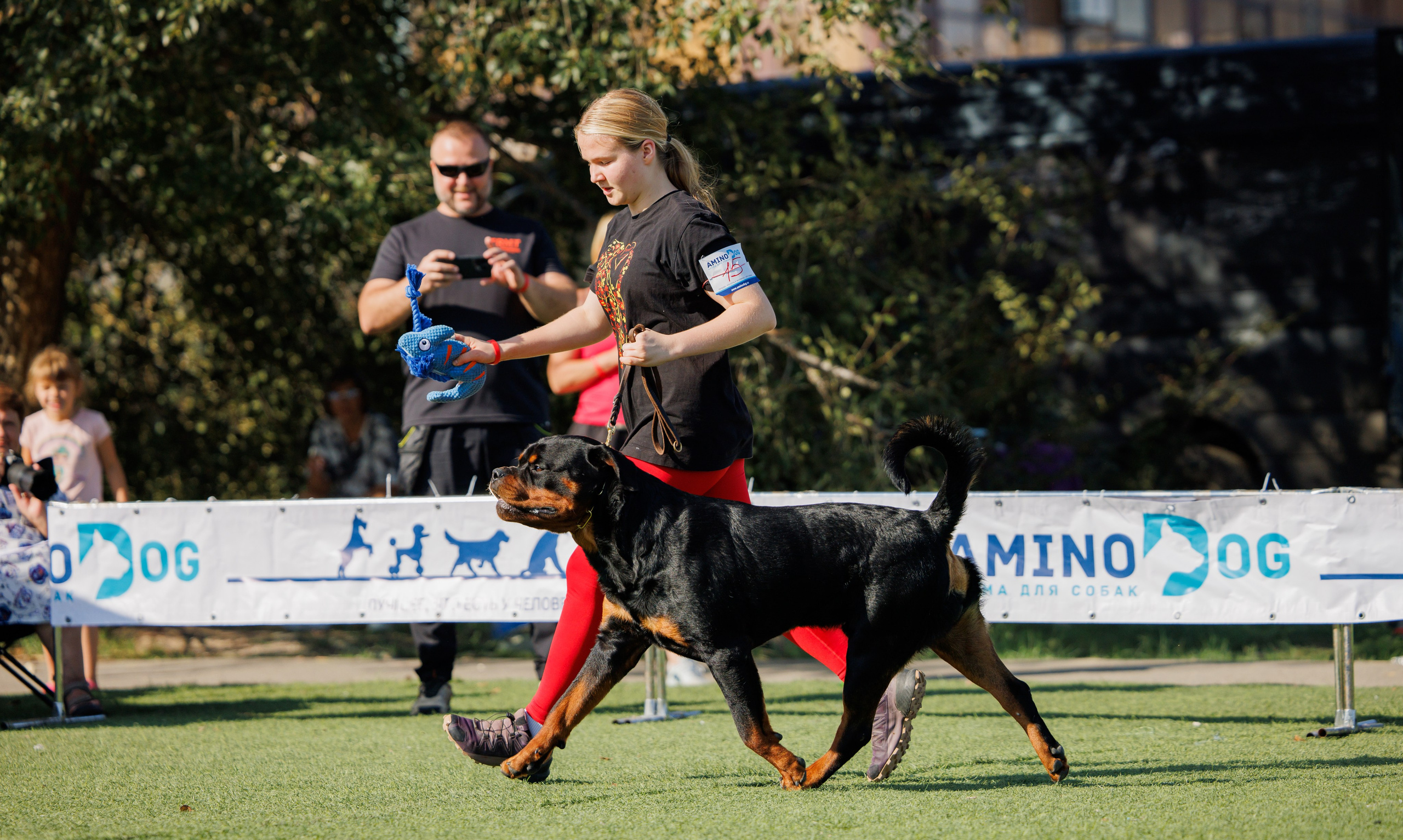 Анапа ротвейлеры 14-15.09.2024. Фотограф-анималист Юлия Германика