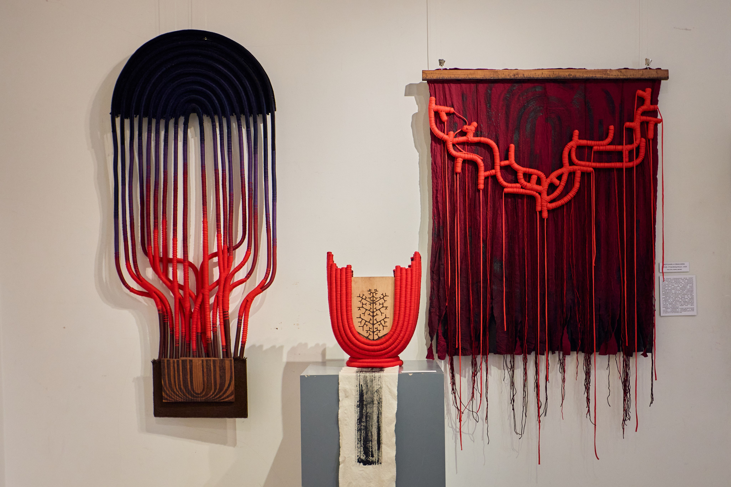 Летний сад дизайнера — открытие выставки. Фотограф Юлия Маринина