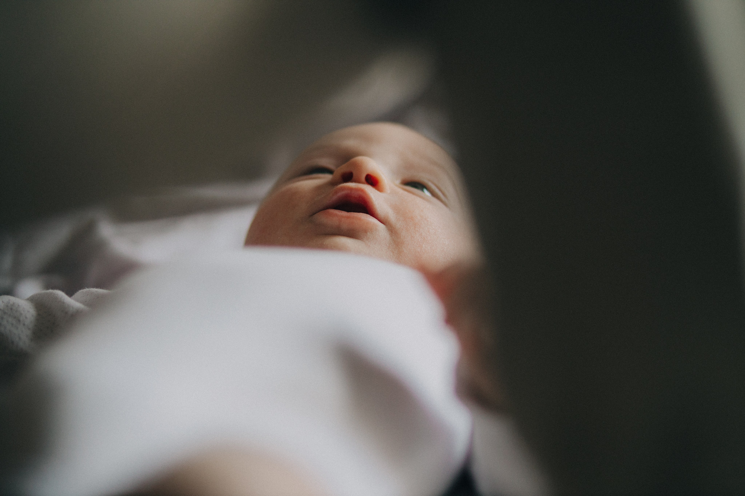 КАБАЧКОВЫ АЛАДАЧАК. Фотограф Юля Королёва