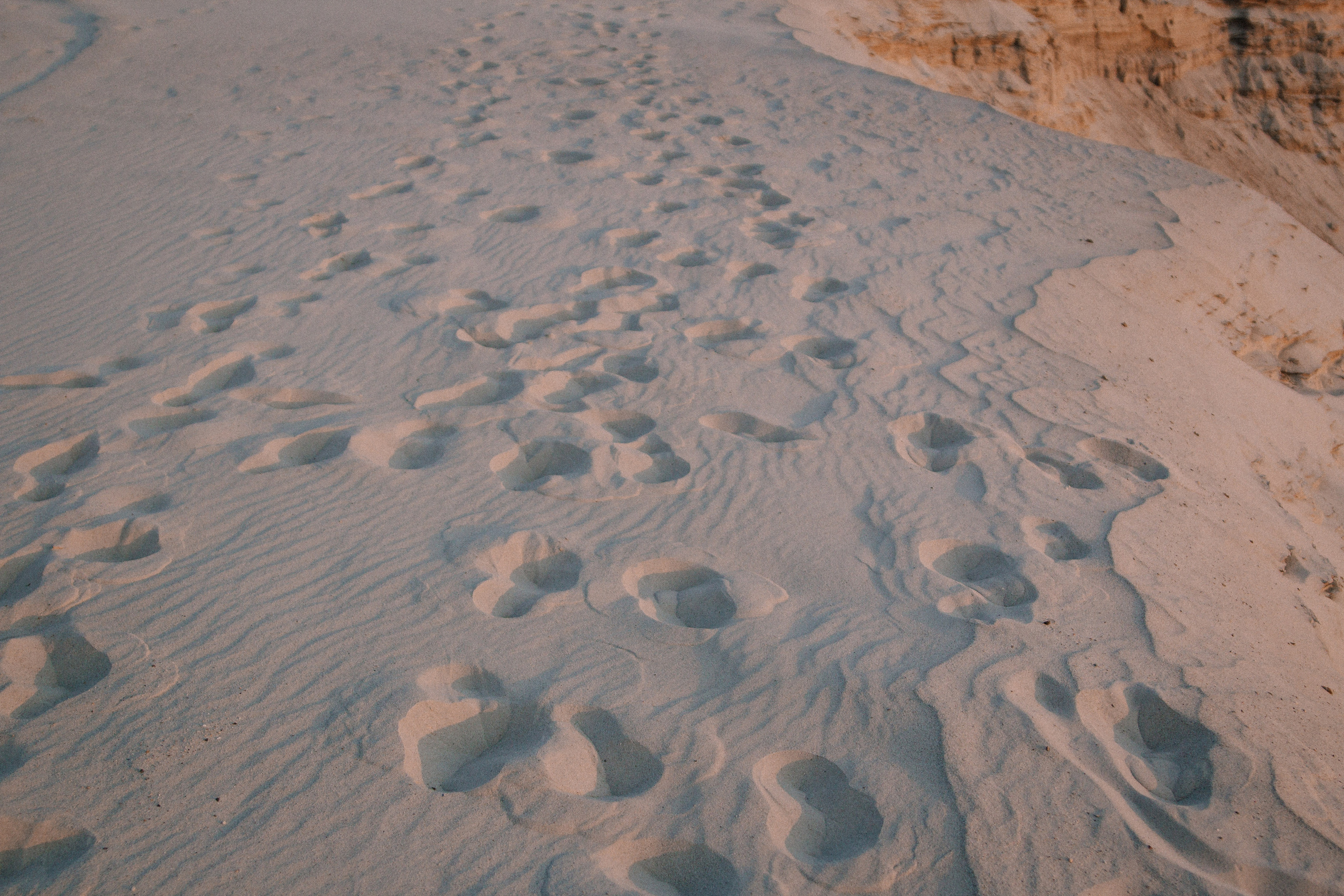 Прогулка с Аленой. Фотографии с любовью