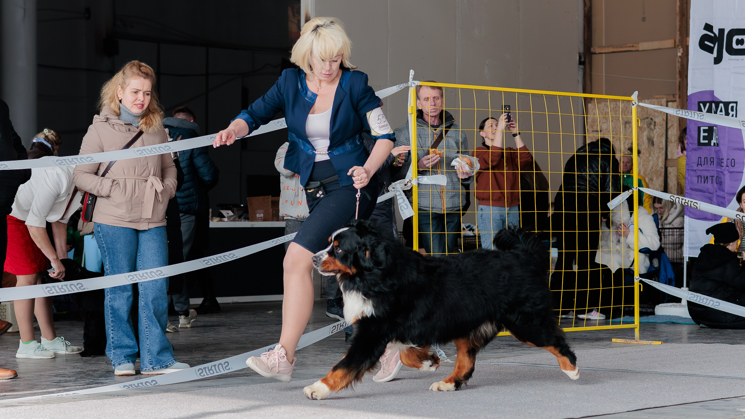 Выставки. Фотограф Марк Файзулин