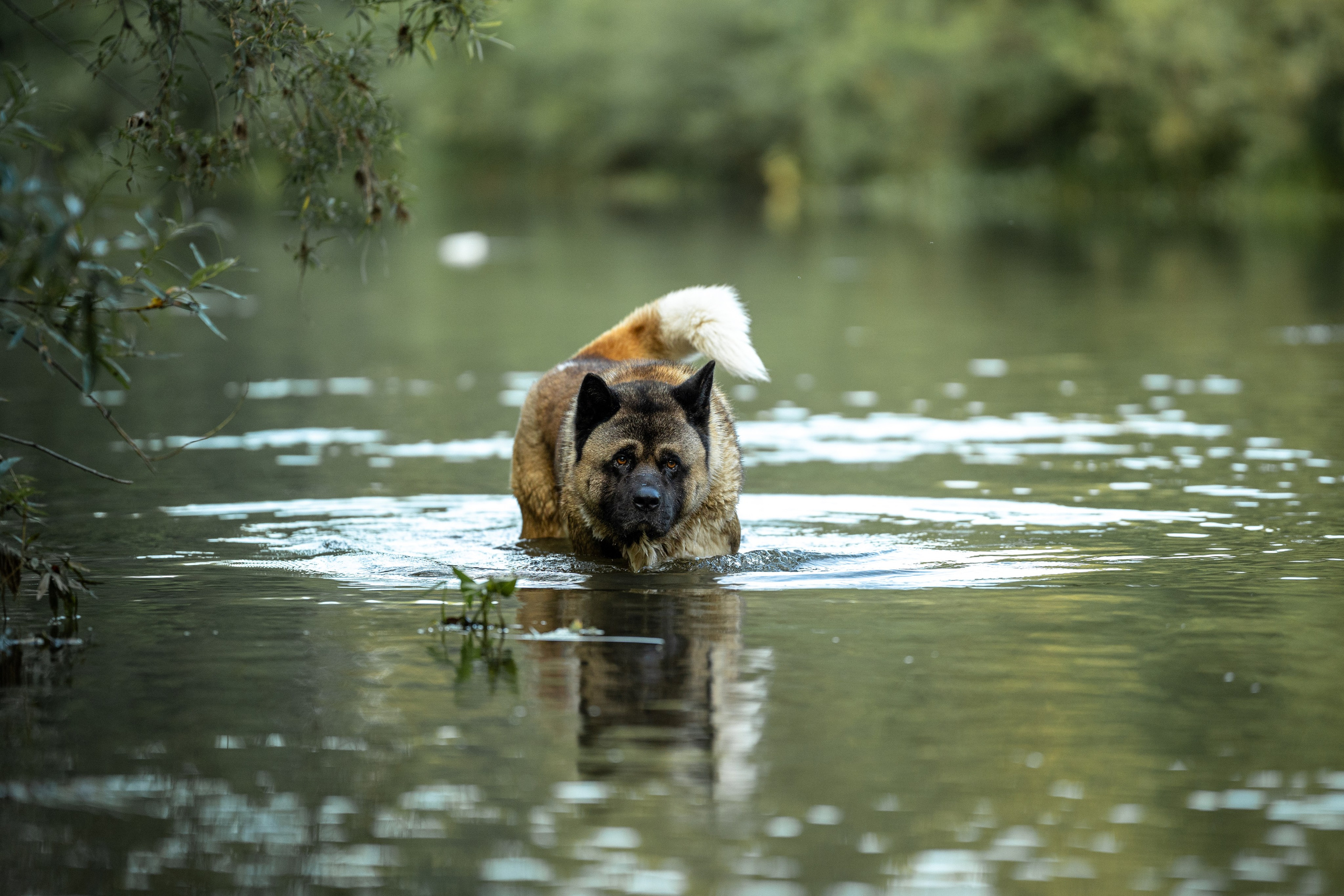 Природные пейзажи. Наталия Клевинскас портретный фотограф в Костроме