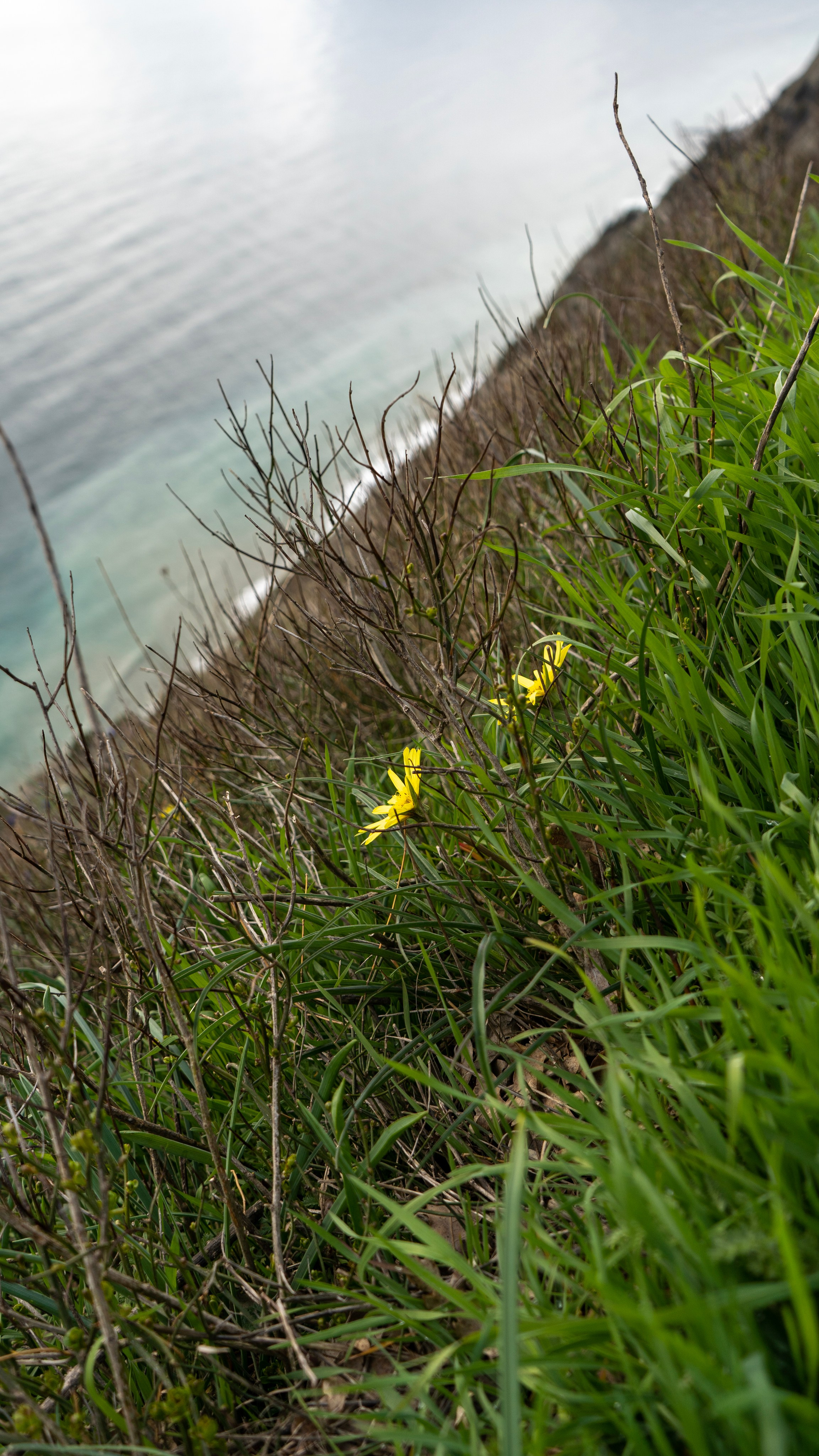 Артем и Людмила. Семейный и детский фотограф Екатерина Черняева. Снимаю портреты, love story, фотопрогулки, работаю на улице, в кафе, студии, дома у клиента