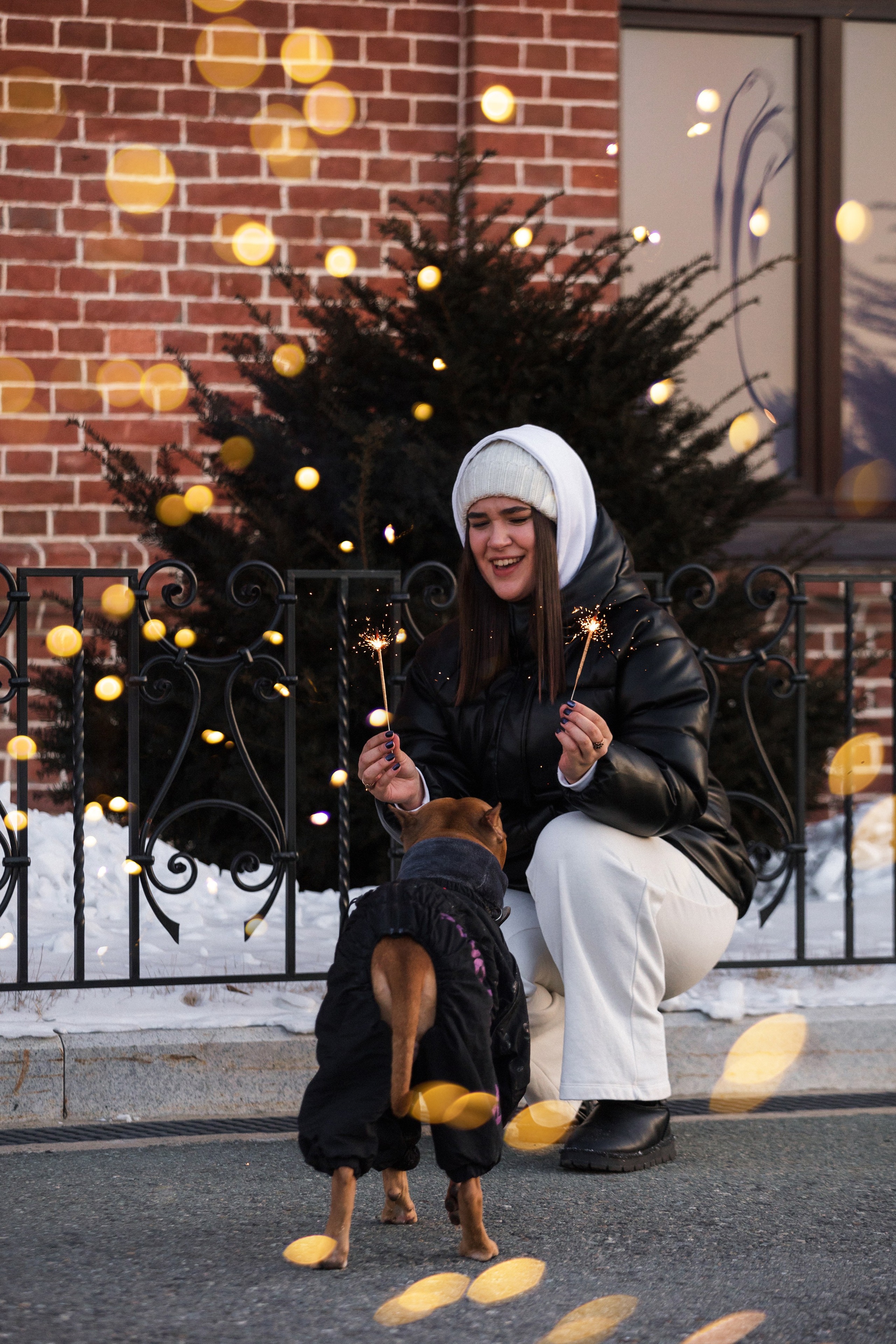 Арина и Стэфи. Фотограф — анималист Владивосток, Алина