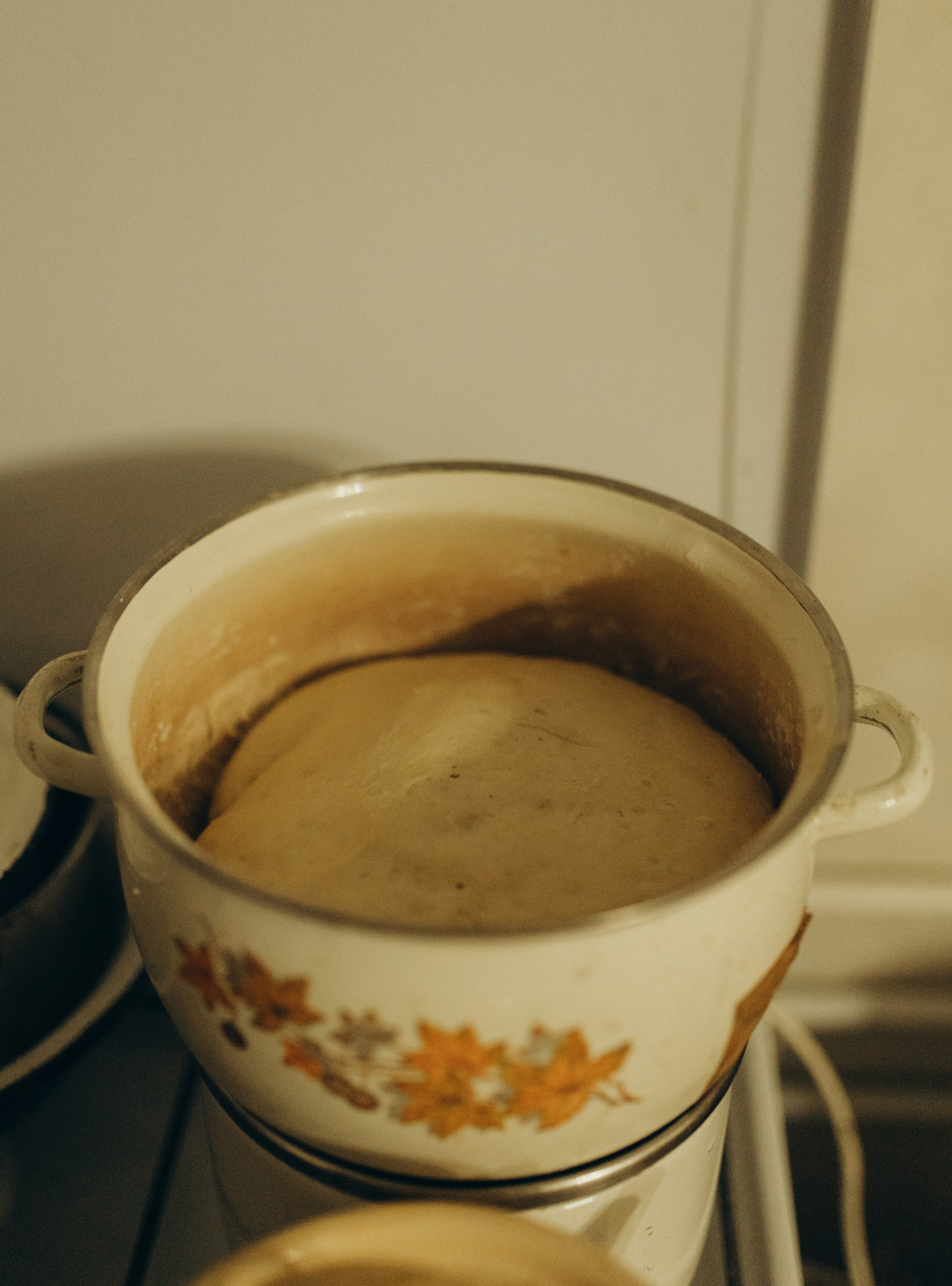 Домашняя история. Meryfotoidea