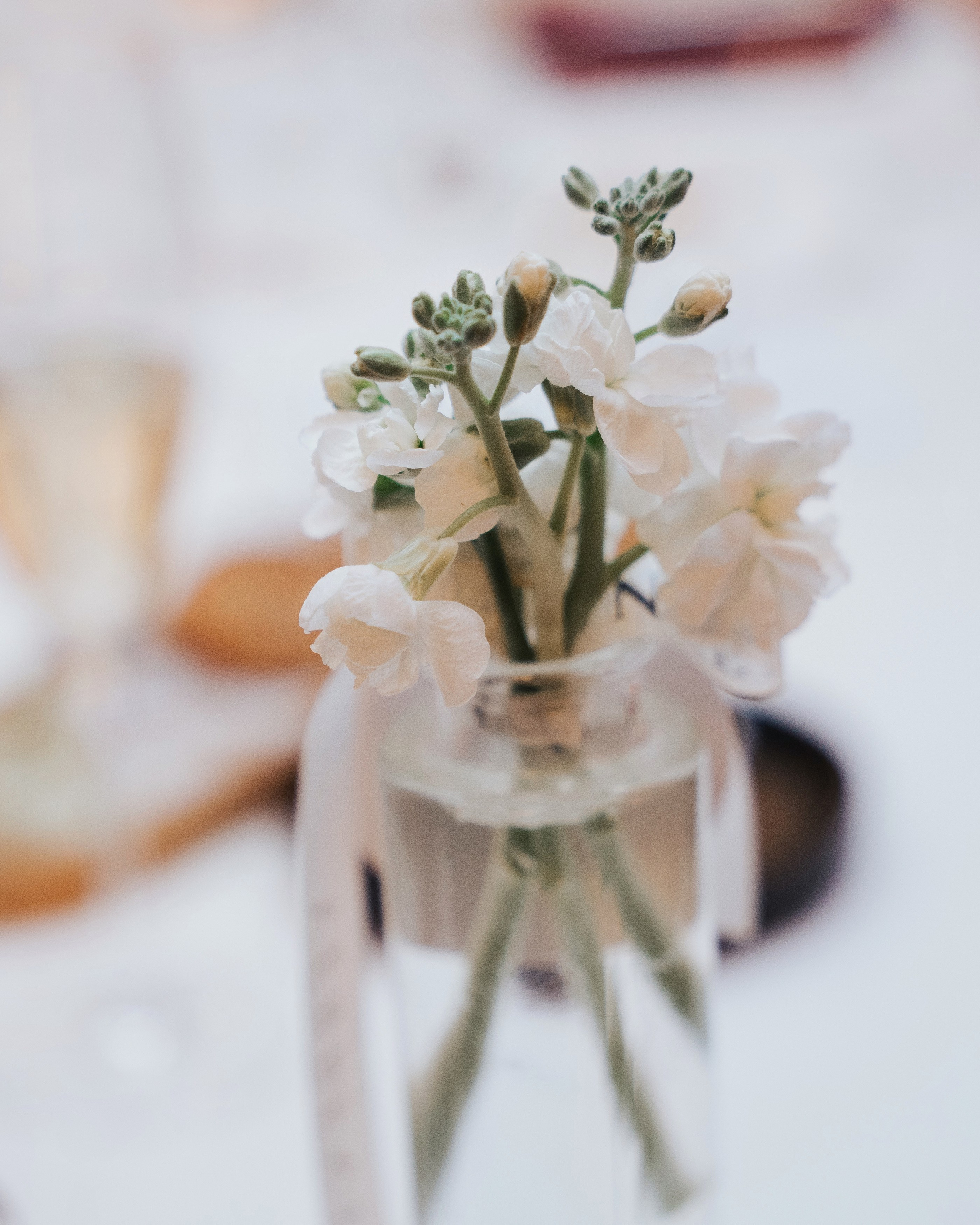 ГАСТРОЛЬНЫЙ УЖИН В MAIN WINE «ИДЕМ НА ВОСТОК. ГОРДИМСЯ ДОСТОЯНИЕМ». СВОИ. ФОТООТЧЕТЫ-СОБЫТИЯ-МЕСТА