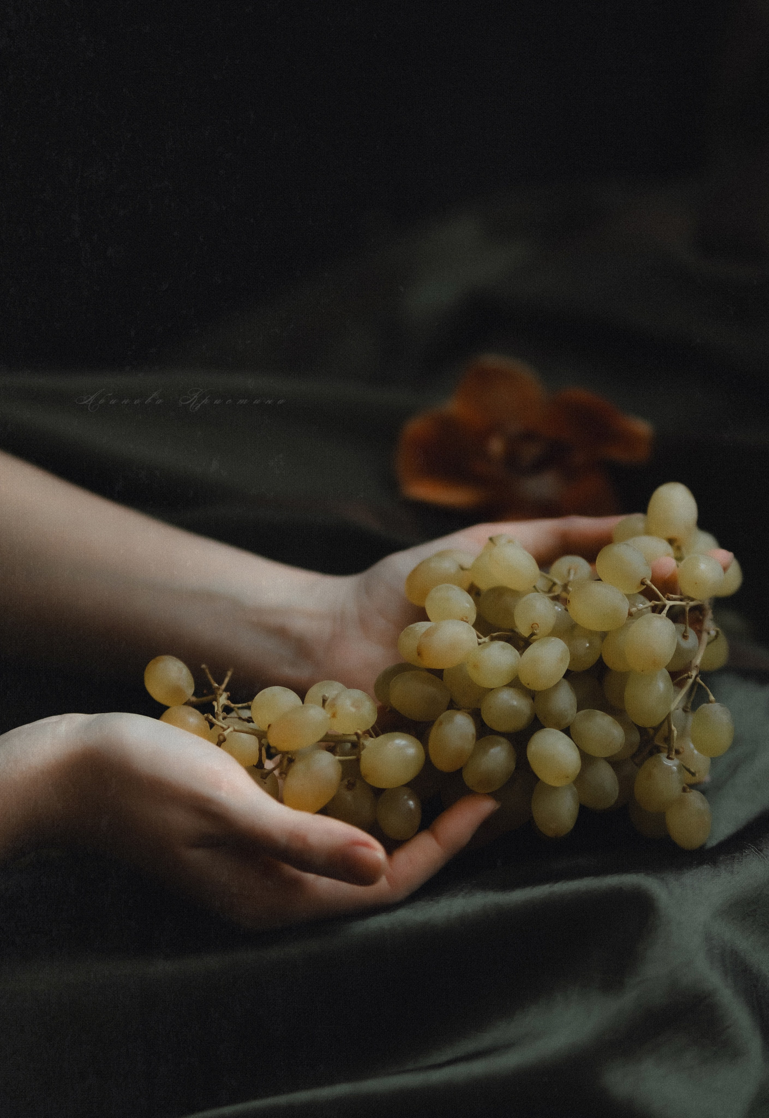 «Собранная из лепестков». Твой проводник в мир ушедших эпох, романтики и женственности