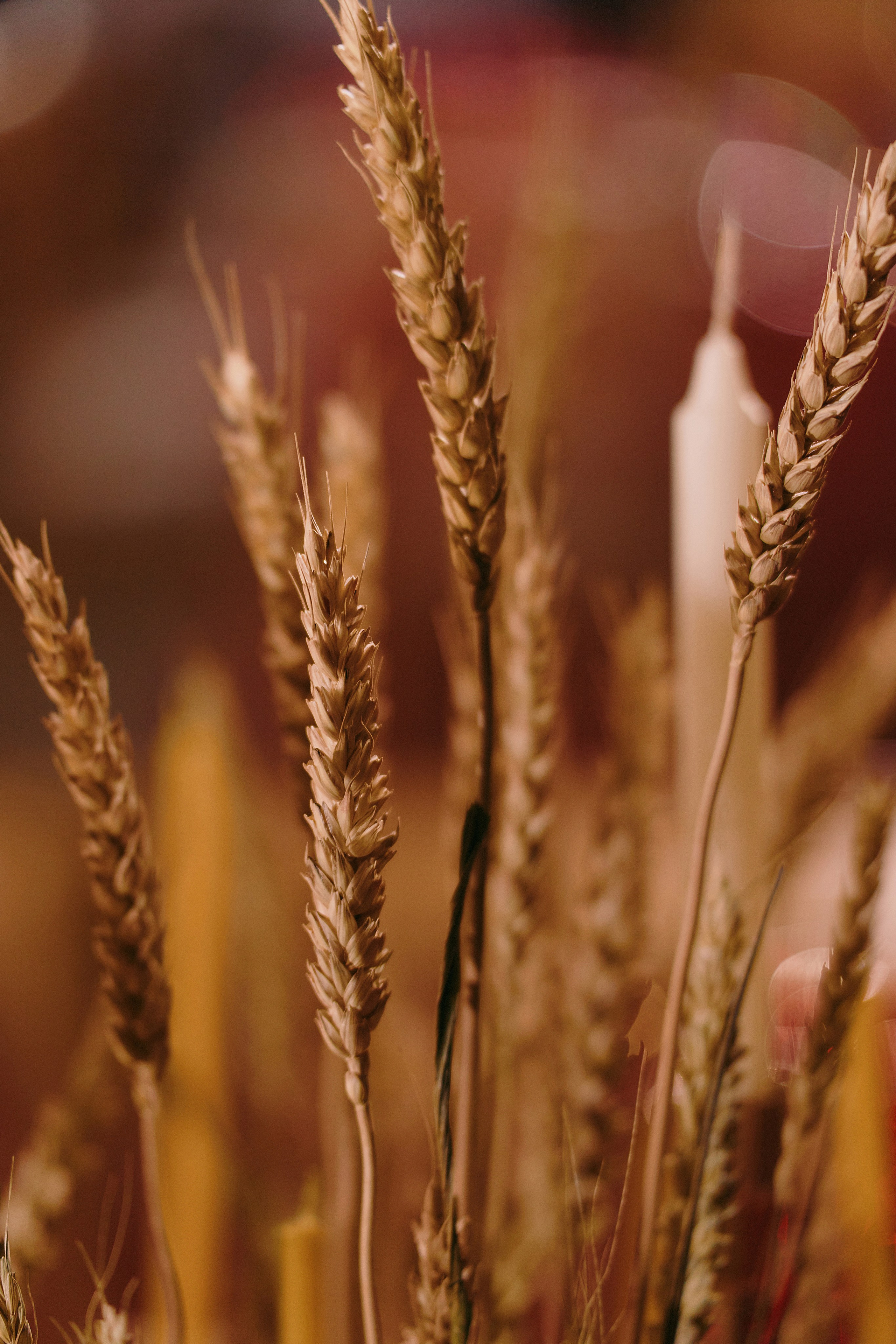 Юбилей Рассвет. Свадебный фотограф в Ростовe-на-Дону Анастасия Прутова