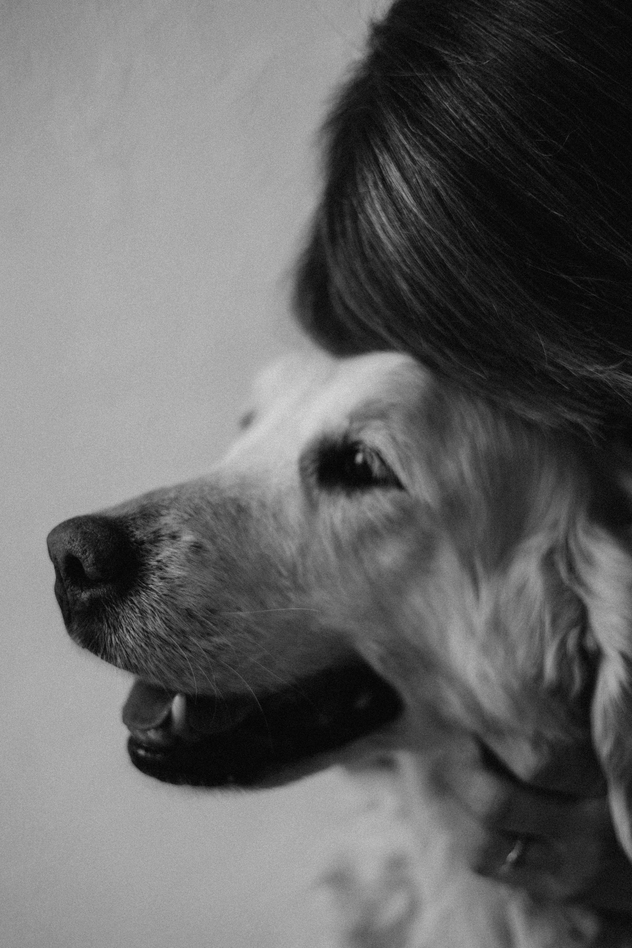 Ирина и Луна. Фотограф — Анималист | Санкт-Петербург