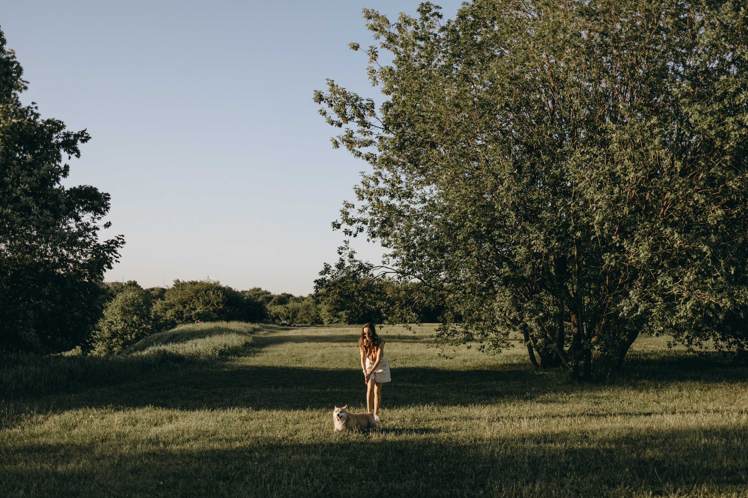 Кристина и Шелби. Фотограф — Анималист | Санкт-Петербург