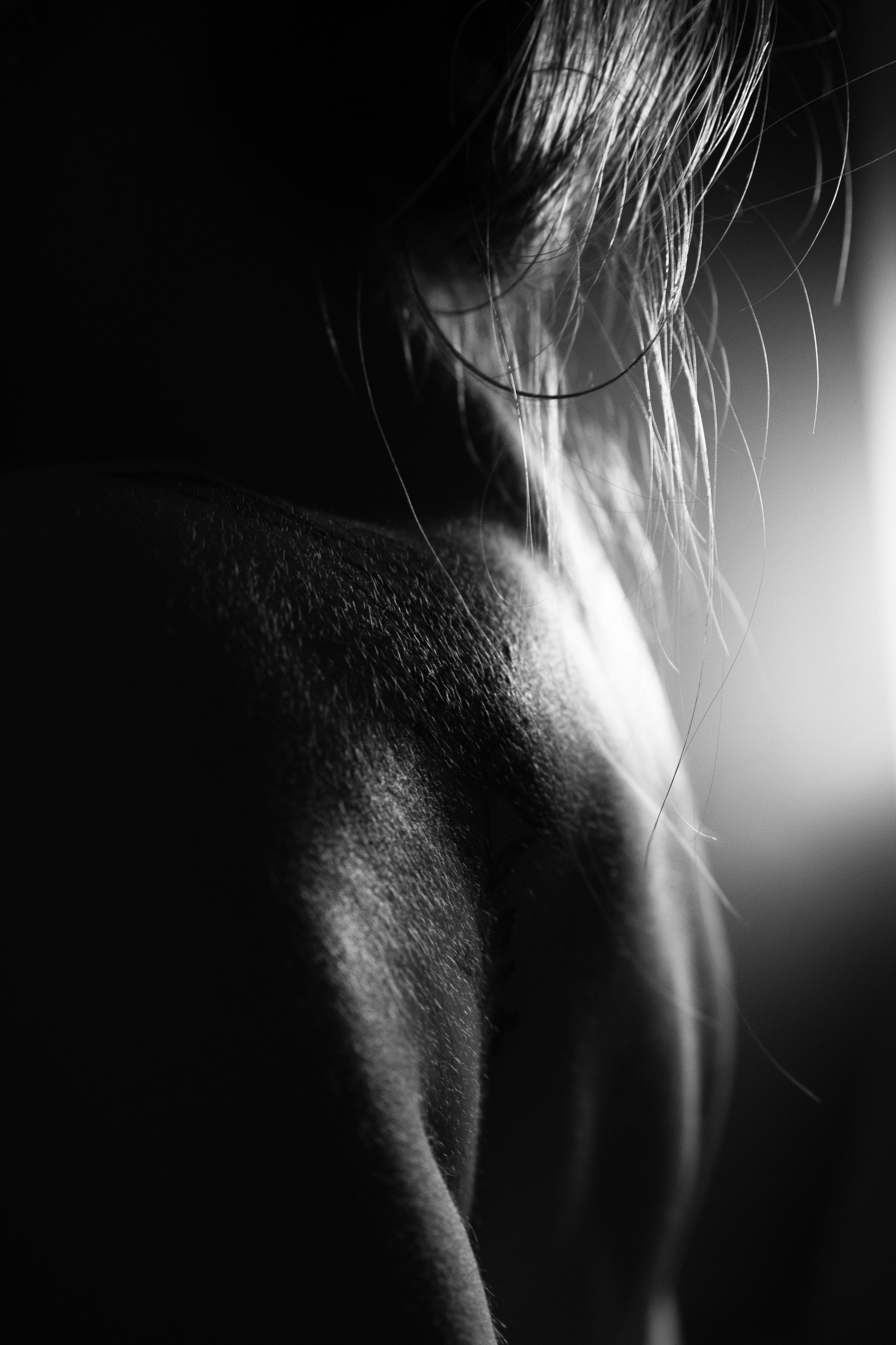 Студийные съемки. Ilya Cube коммерческий фотограф Ярославль | Москва. Индивидуальные съемки, съемки для брендов и компаний