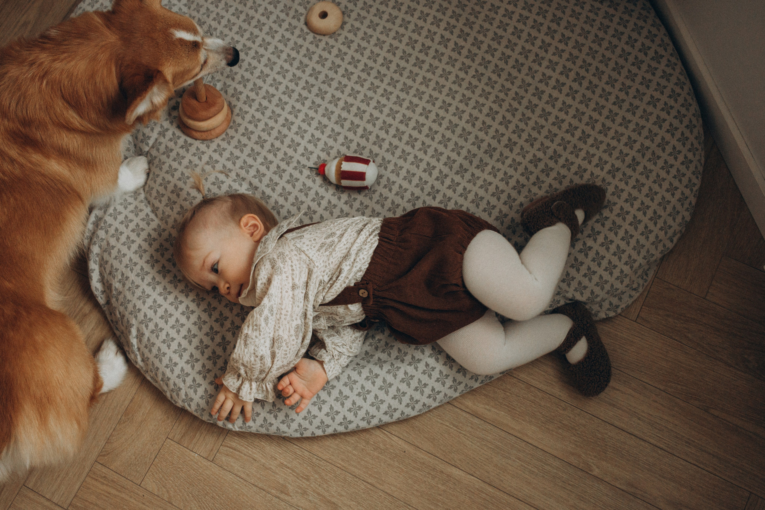 Домашние кадры. Семейный и портретный фотограф в Новосибирске Ксения Кудрина