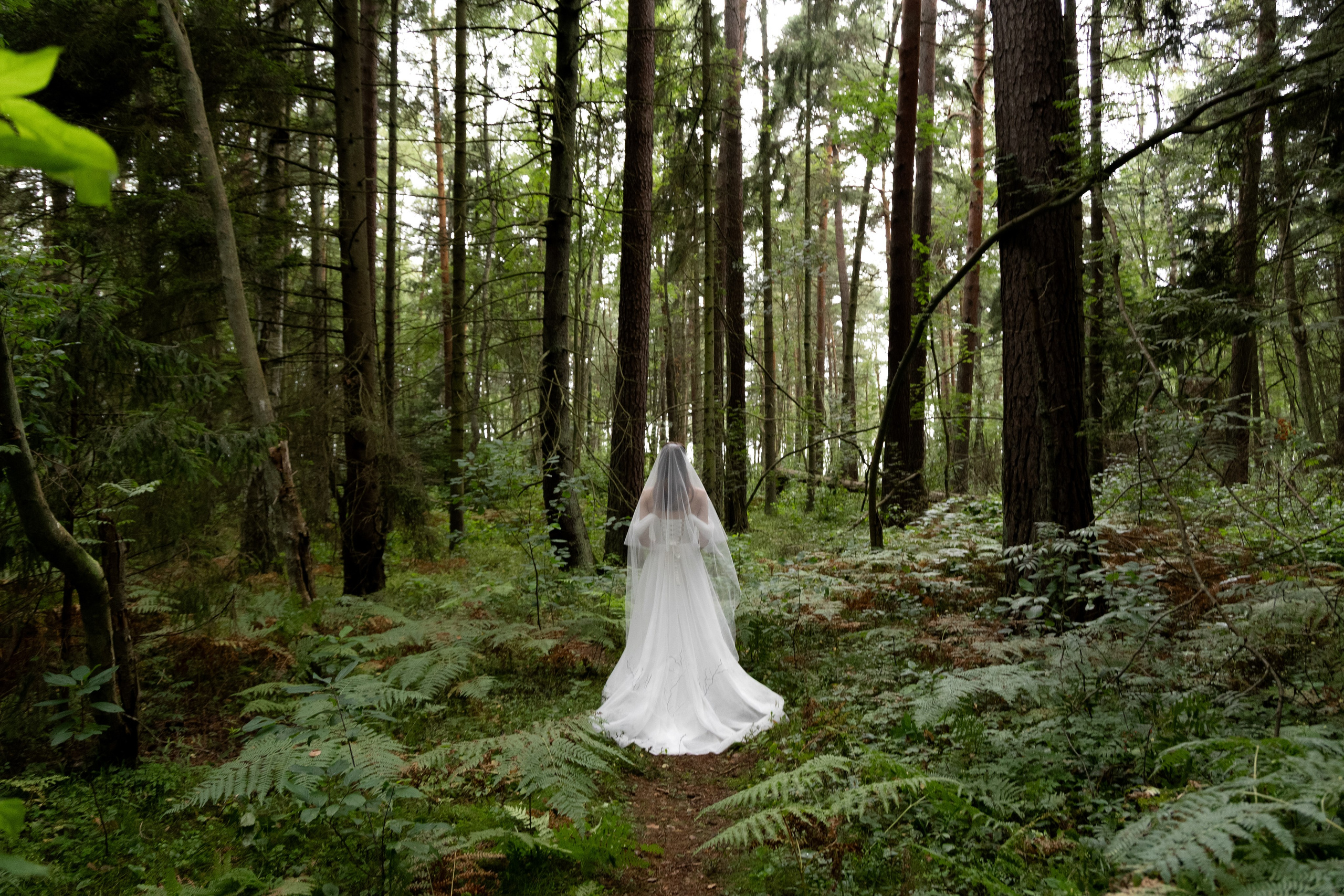 Денис & Дарья | в лесу. Фотограф в Калининграде Сокирко Светлана