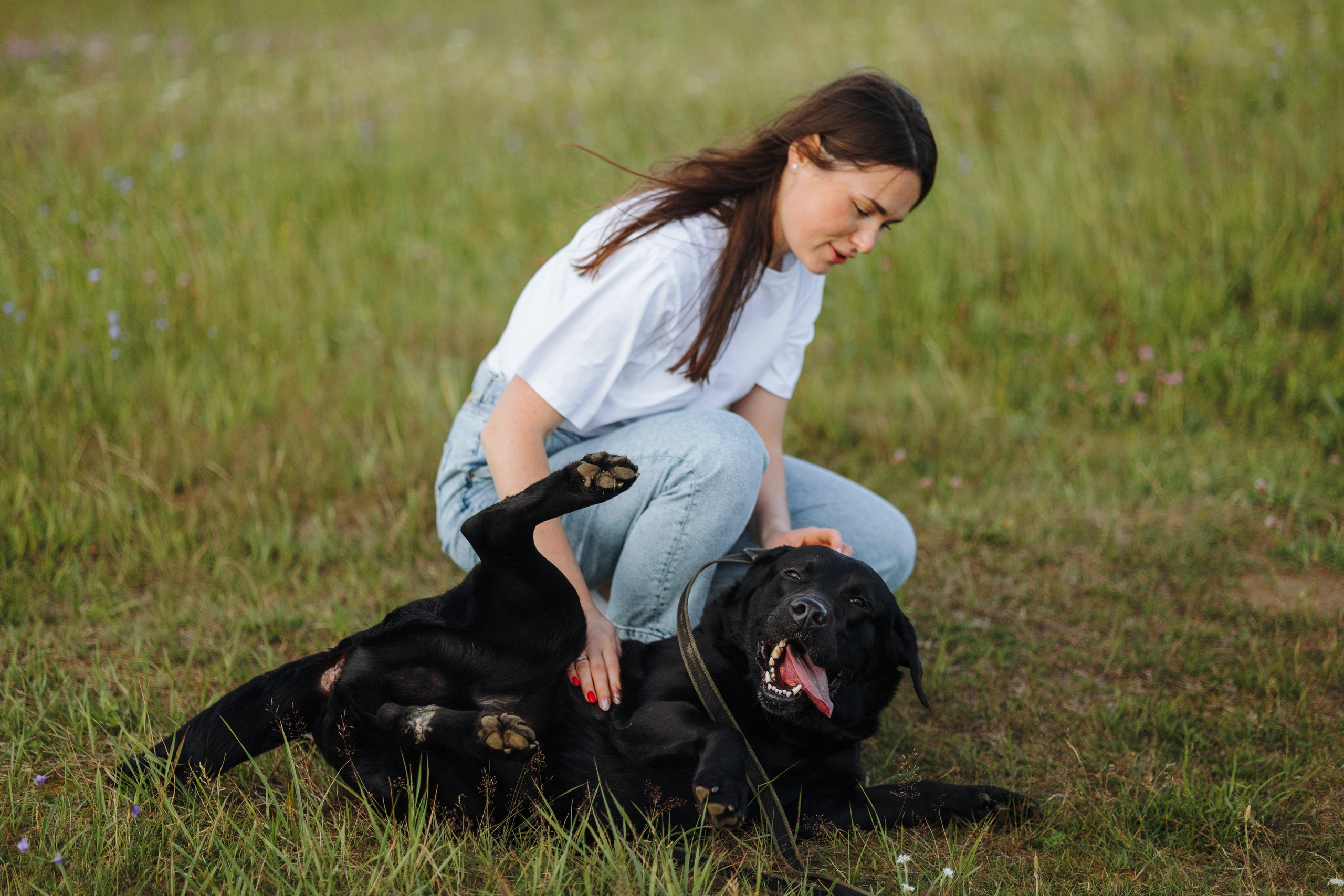 Бомбей и его семья. Фотограф — Анималист | Санкт-Петербург