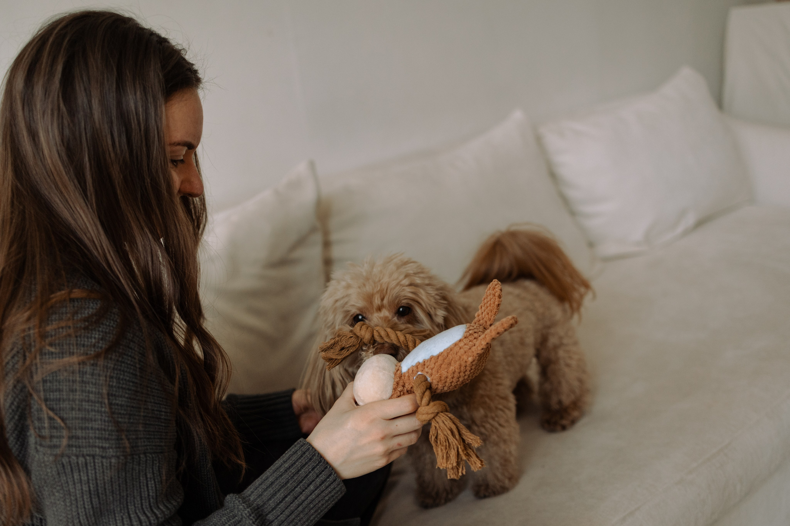 Шкипер и его семья. Фотограф — Анималист | Санкт-Петербург