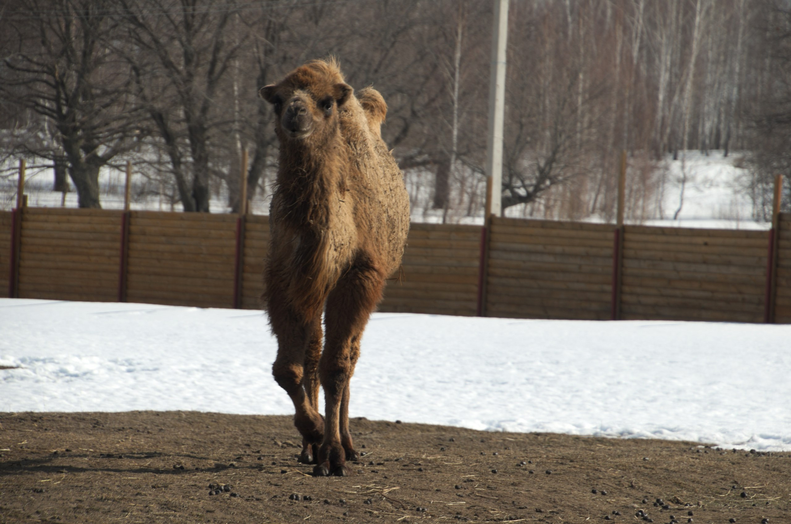 Казань | 24-26.03.2017. Галерея Фантим