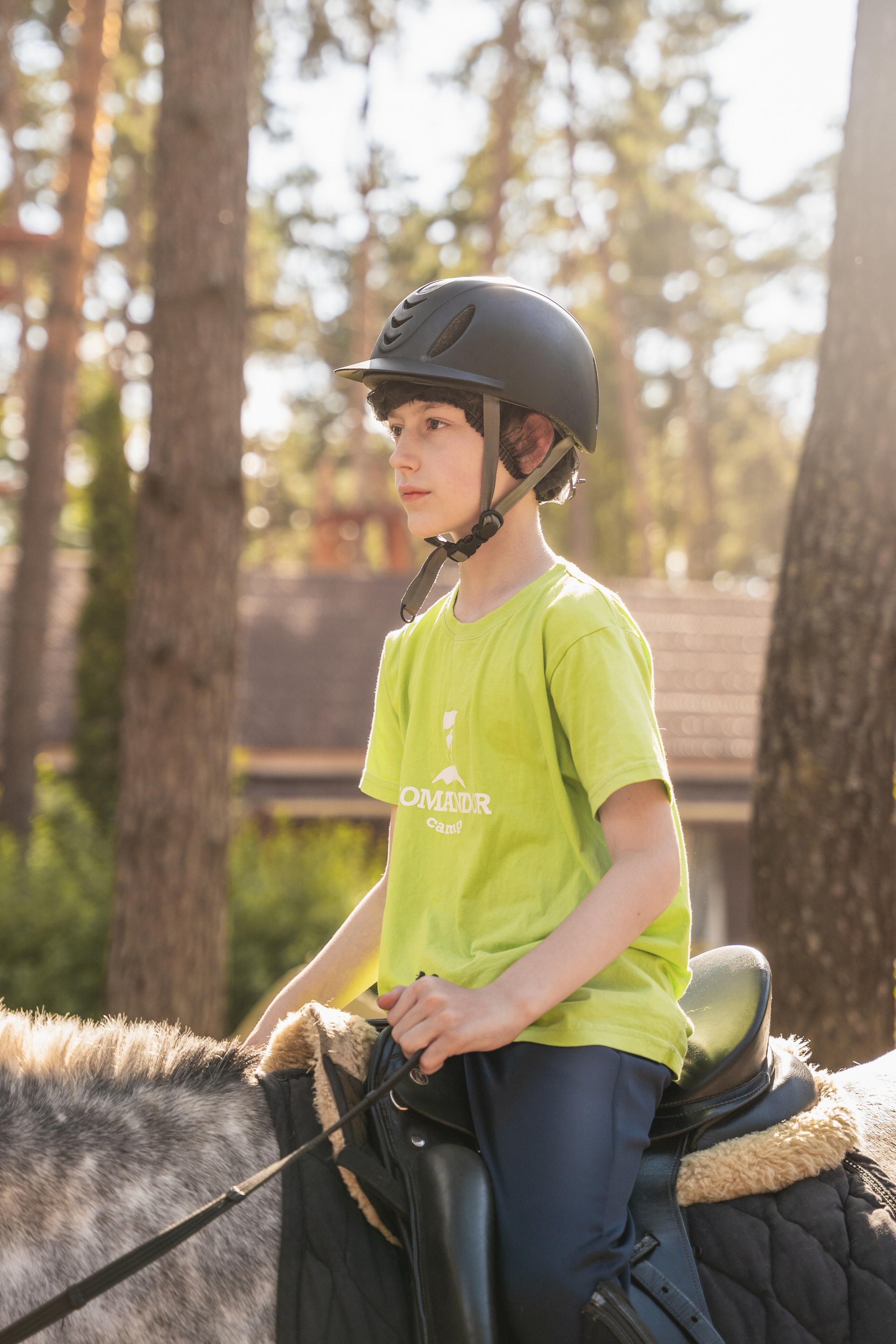 Конное занятие. Главная