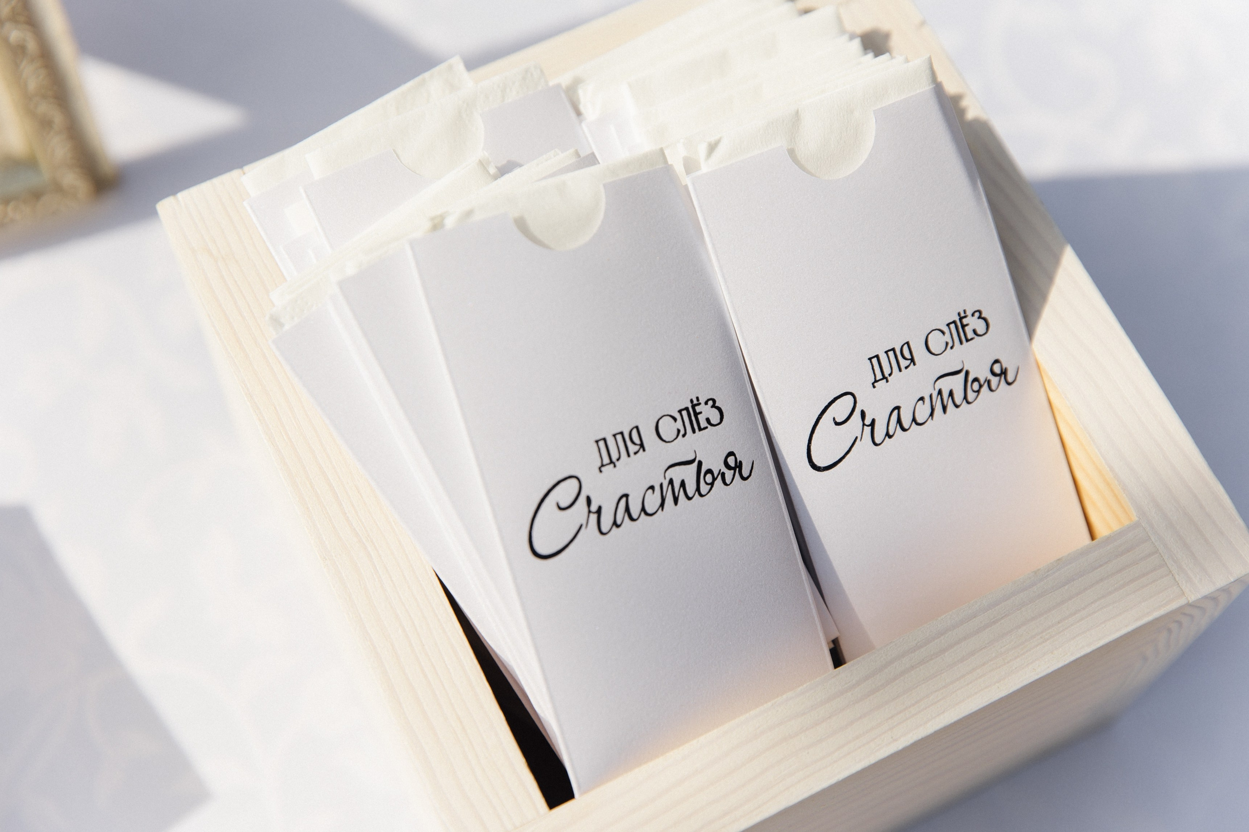 V & A. Свадебный и семейный фотограф в Красноярске Абраменко Настя