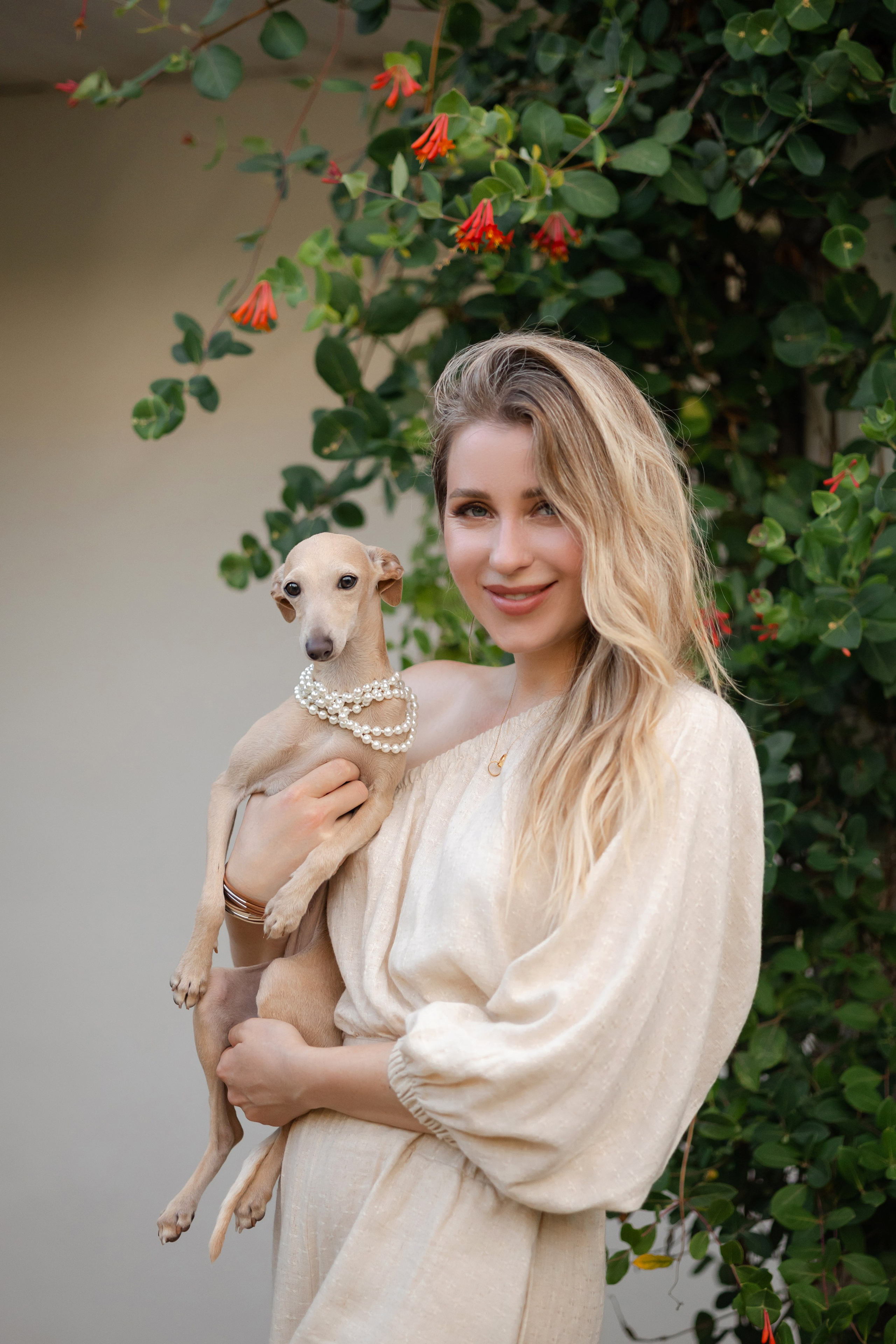 Asti Sapphire Adriana. Профессиональный питомник левреток РКФ/FCI ASTI SAPPHIRE 💎 Сочи|Санкт-Петербург